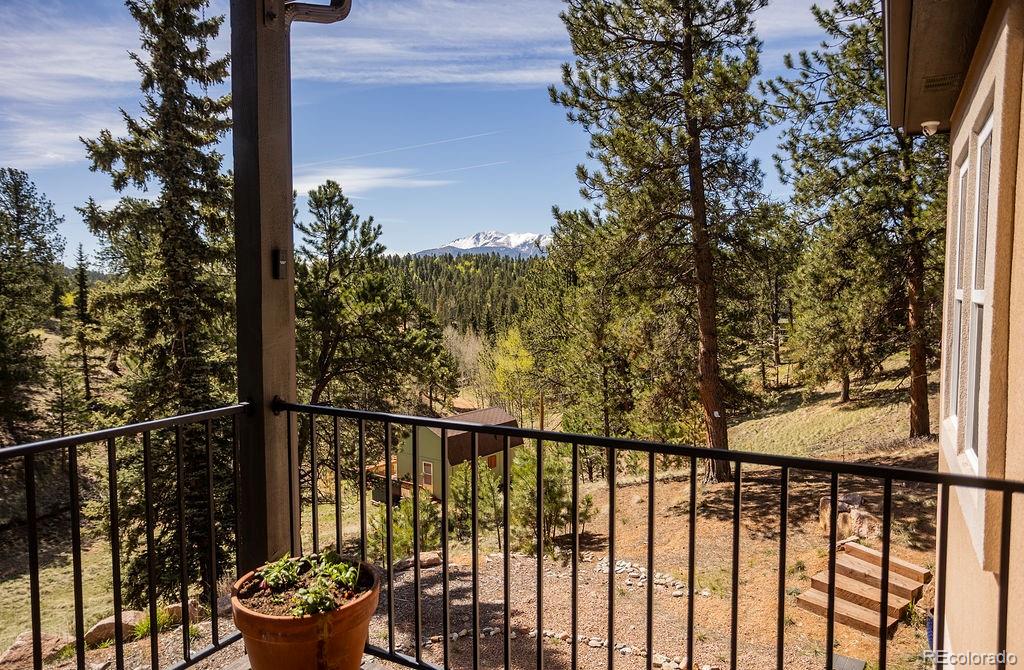 MLS Image #27 for 45  valley circle,divide, Colorado