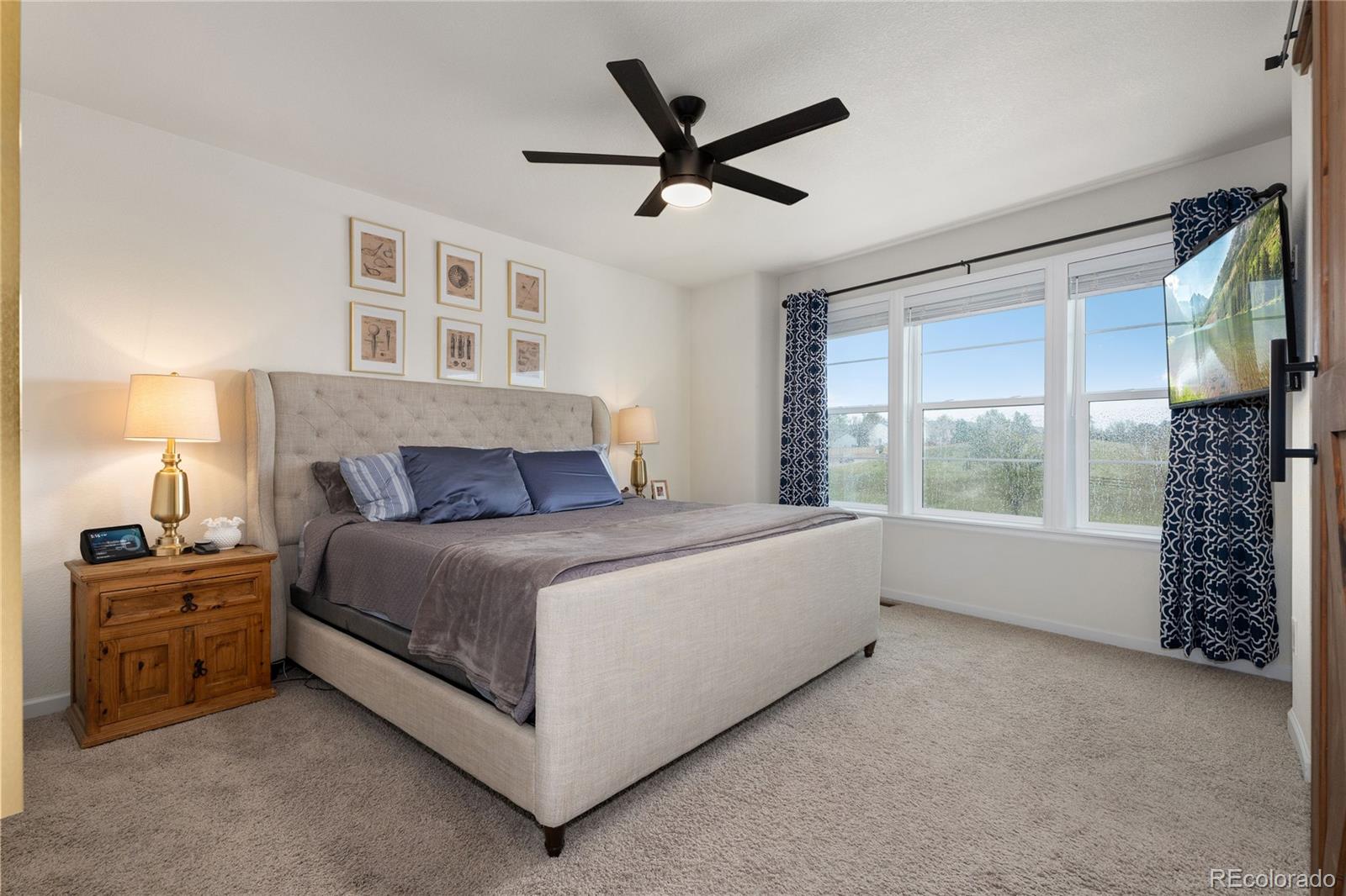 MLS Image #9 for 2618  meadows boulevard c,castle rock, Colorado