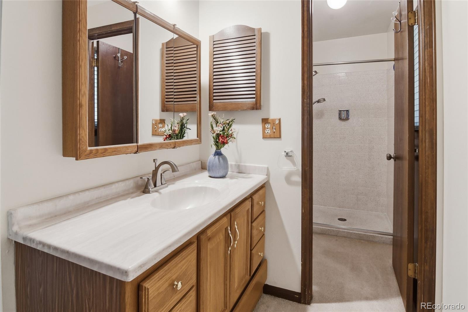 MLS Image #28 for 6043 s glencoe way,centennial, Colorado
