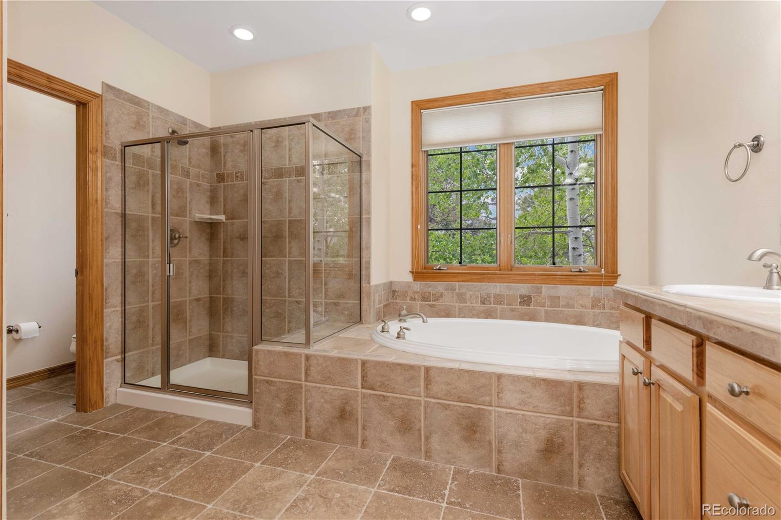 MLS Image #19 for 1294  red lodge drive,evergreen, Colorado