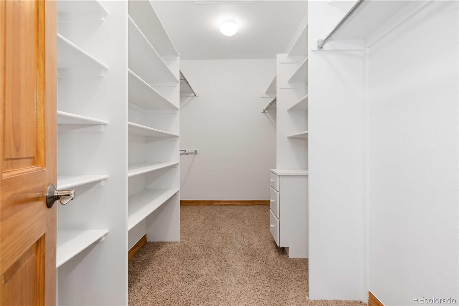 MLS Image #20 for 1294  red lodge drive,evergreen, Colorado