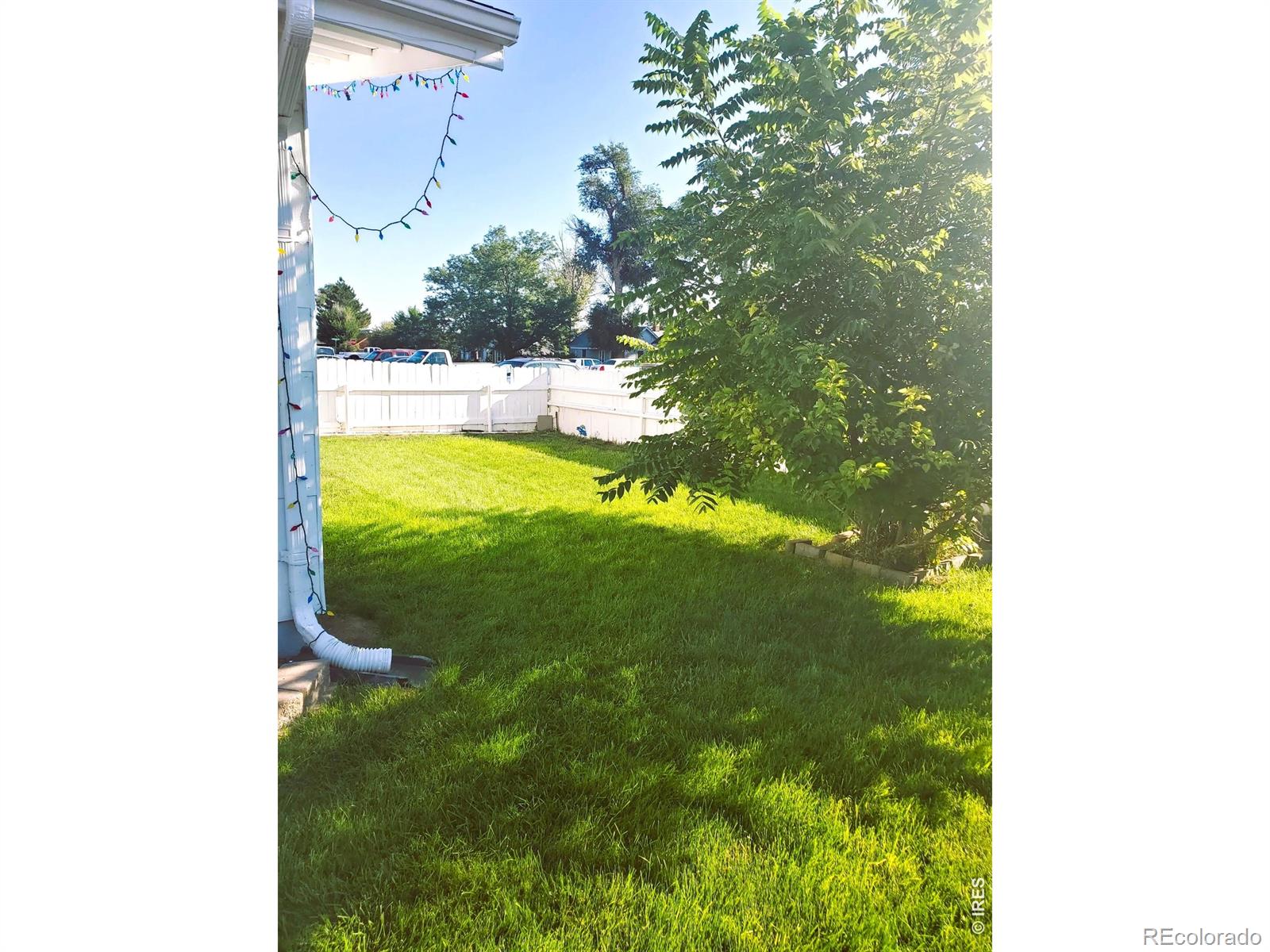 MLS Image #6 for 402  washington street,sterling, Colorado