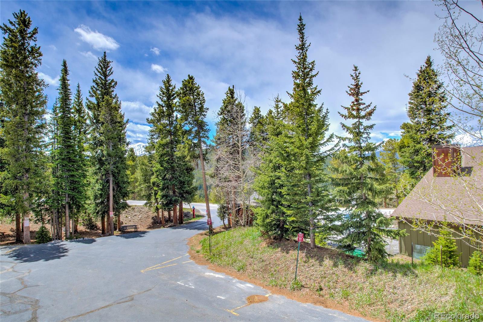 MLS Image #41 for 29  washington lode ,breckenridge, Colorado