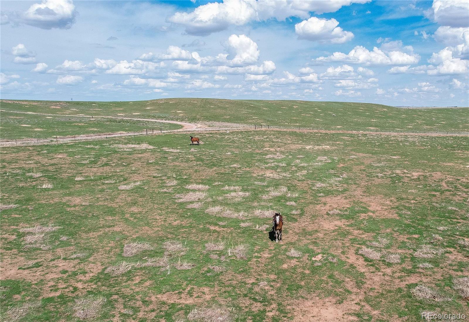MLS Image #19 for 2201  antelope racer court,wellington, Colorado