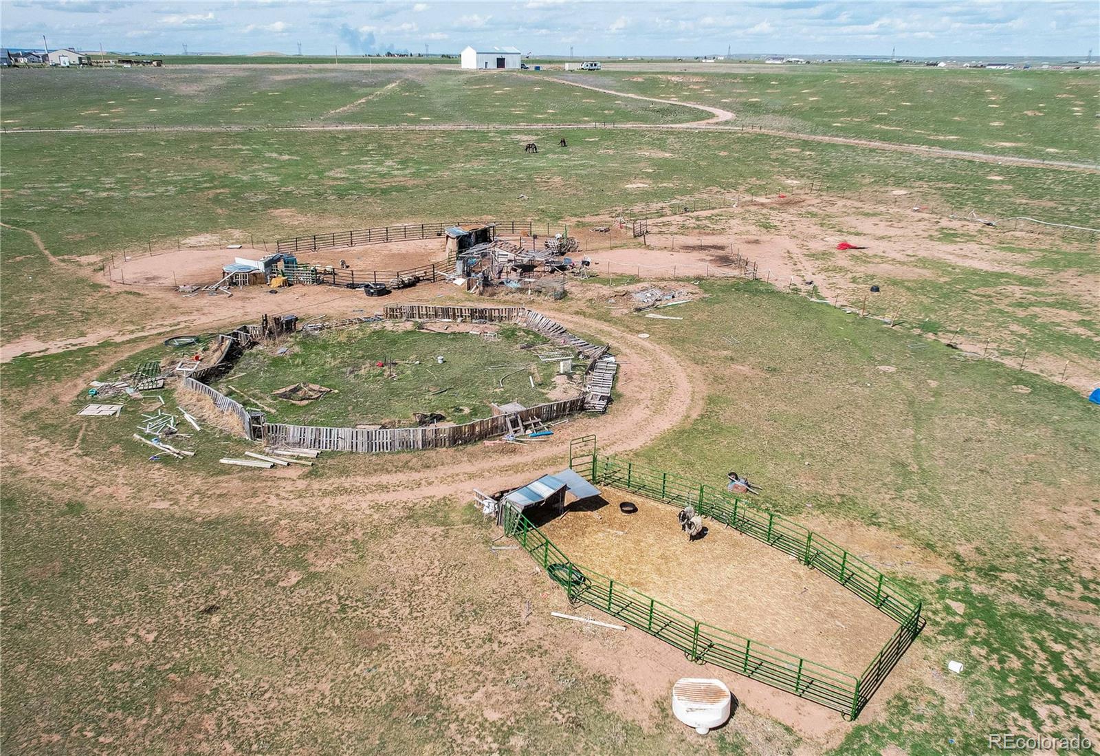 MLS Image #24 for 2201  antelope racer court,wellington, Colorado