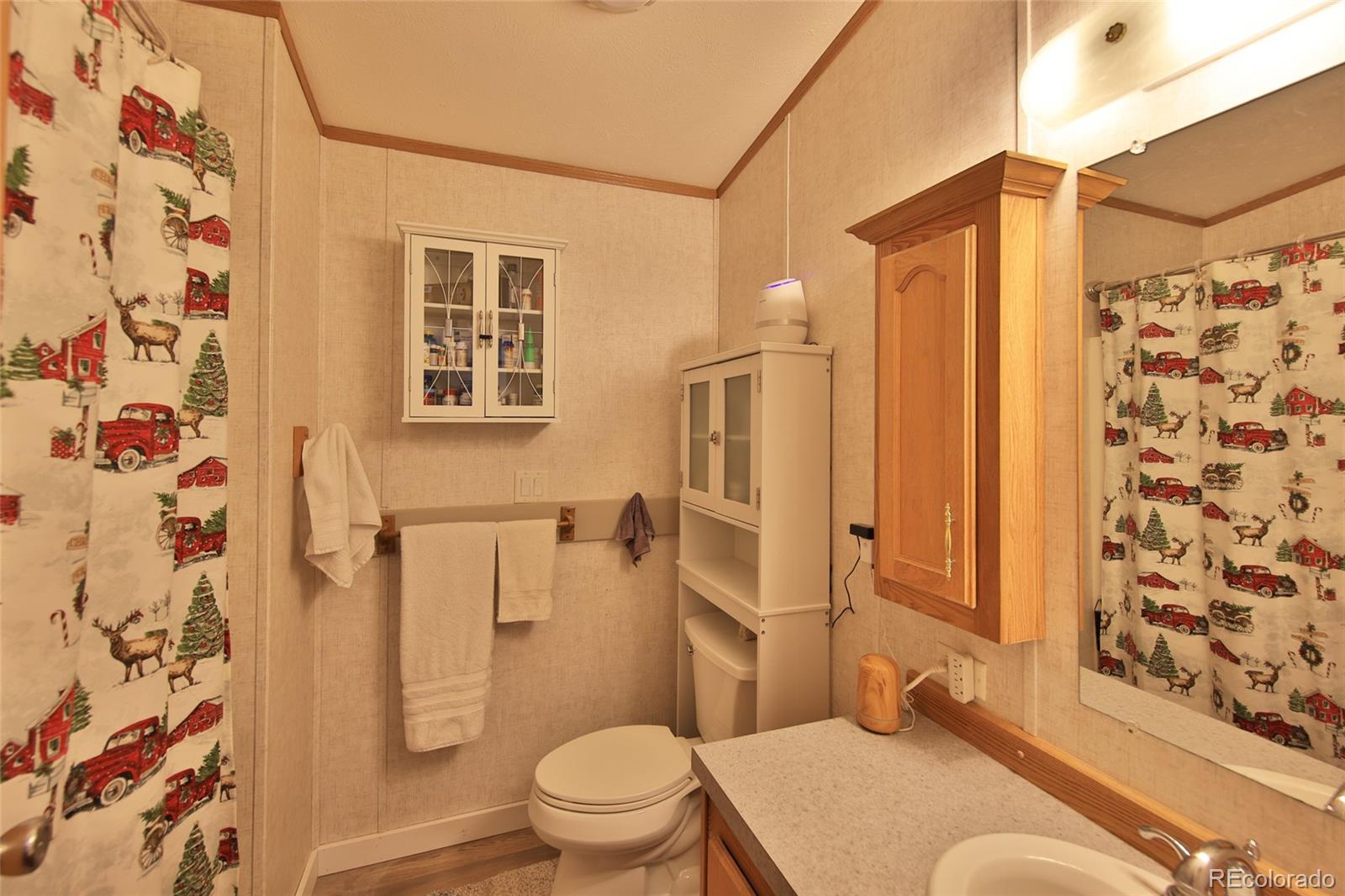 MLS Image #15 for 4055  pinion street,collbran, Colorado