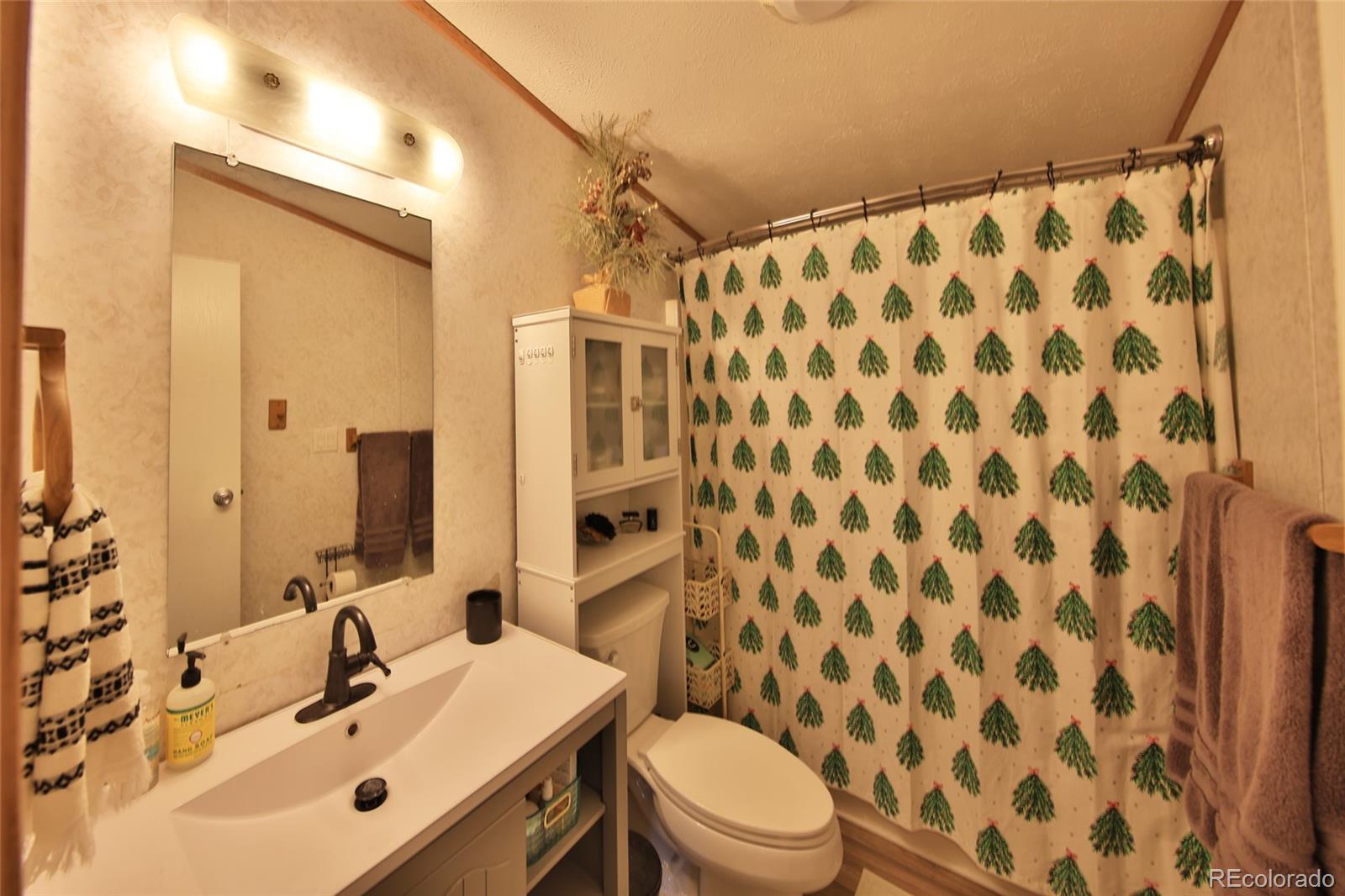 MLS Image #16 for 4055  pinion street,collbran, Colorado