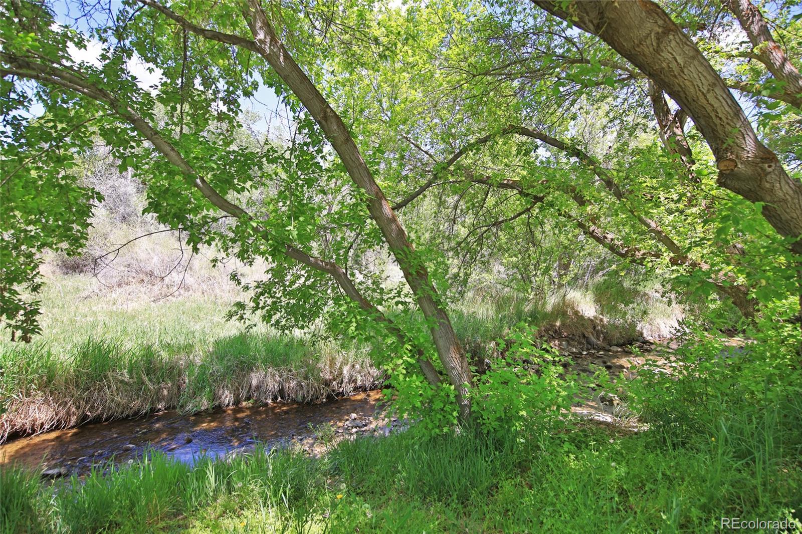 MLS Image #4 for 4055  pinion street,collbran, Colorado