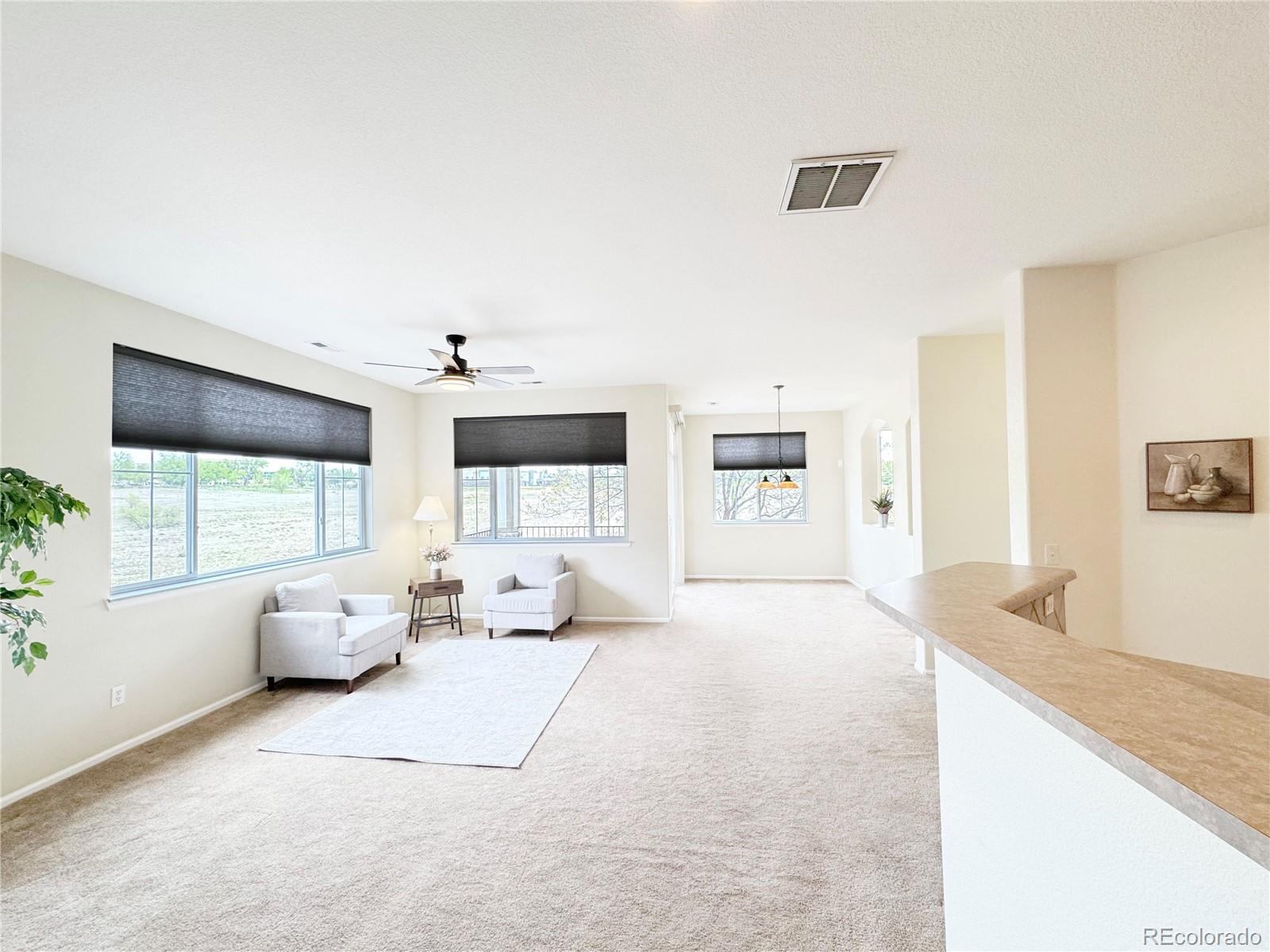 MLS Image #9 for 11313  navajo circle b,denver, Colorado