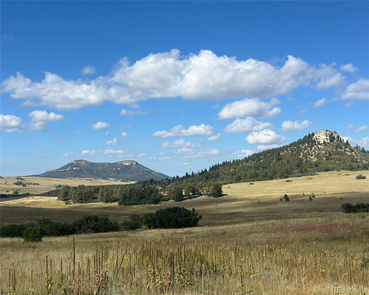 MLS Image #2 for 100 w noe road,larkspur, Colorado