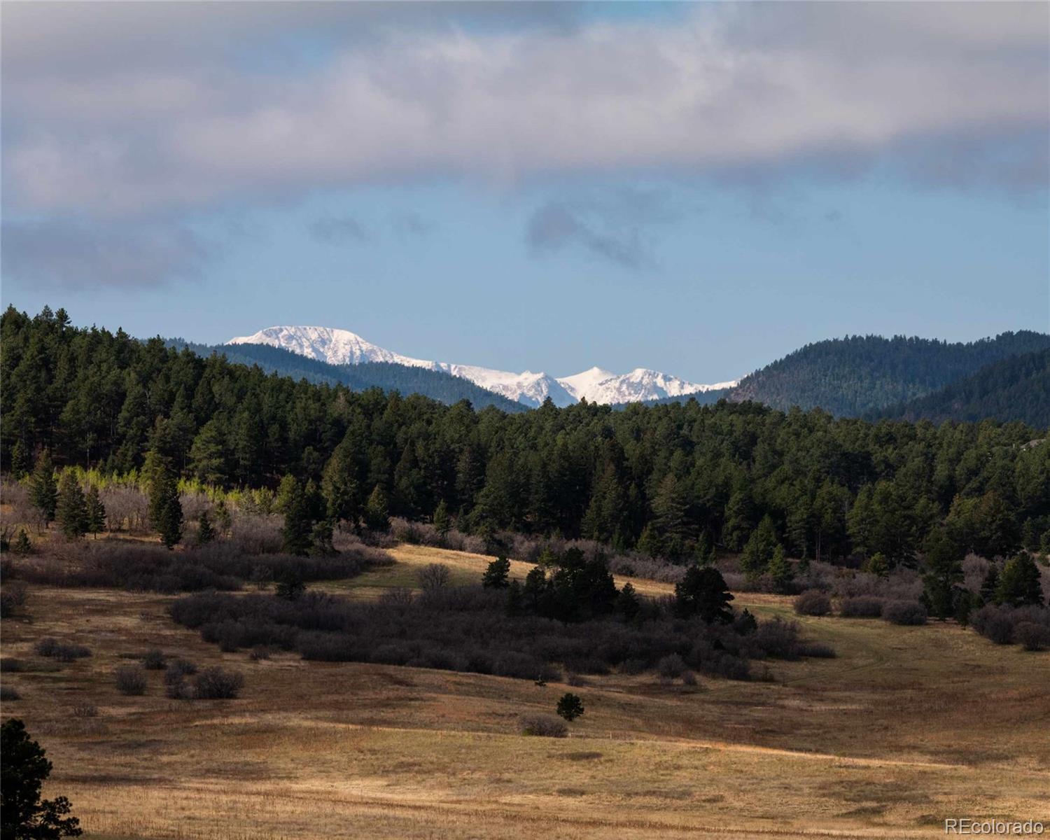 MLS Image #6 for 100 w noe road,larkspur, Colorado