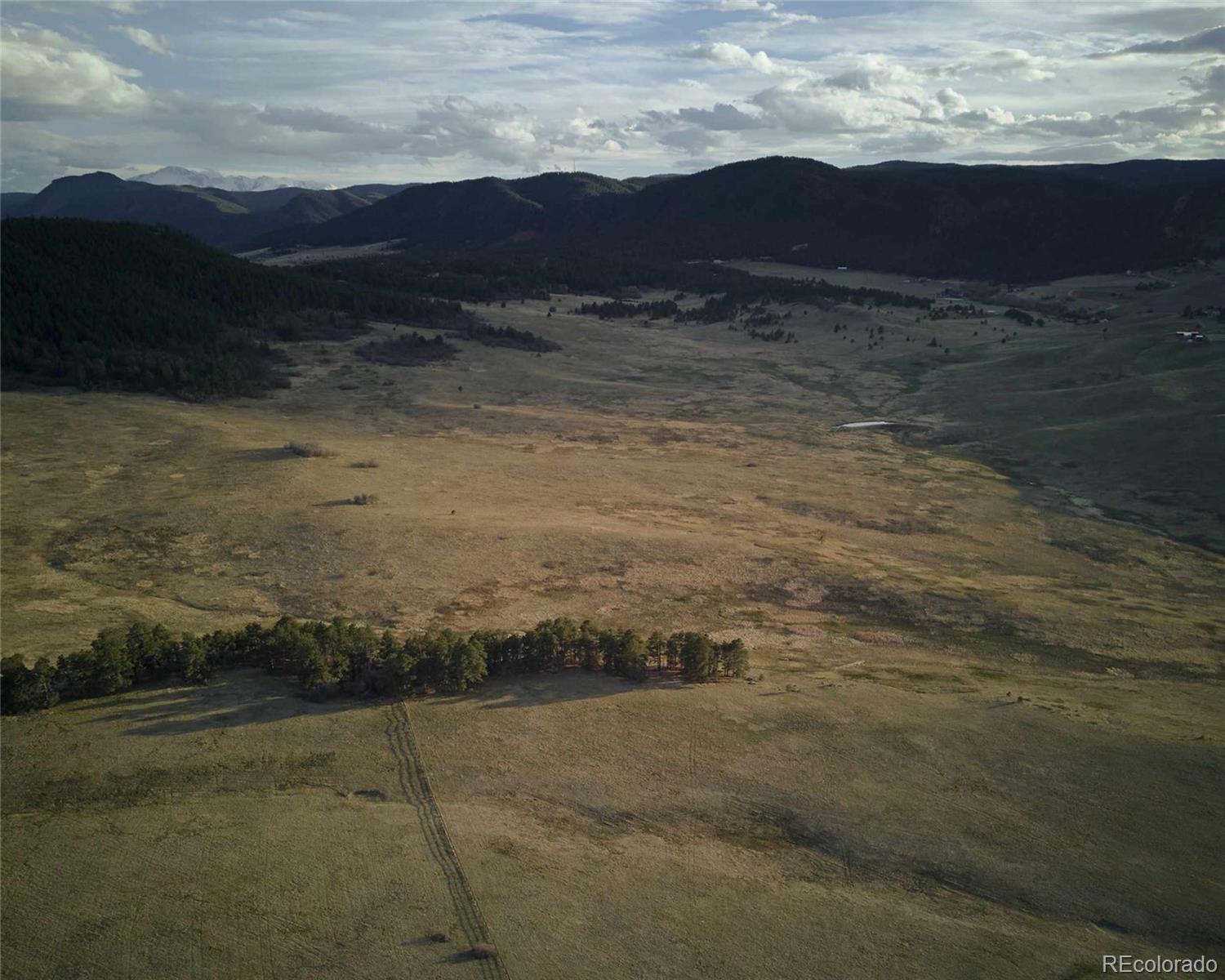 MLS Image #8 for 100 w noe road,larkspur, Colorado