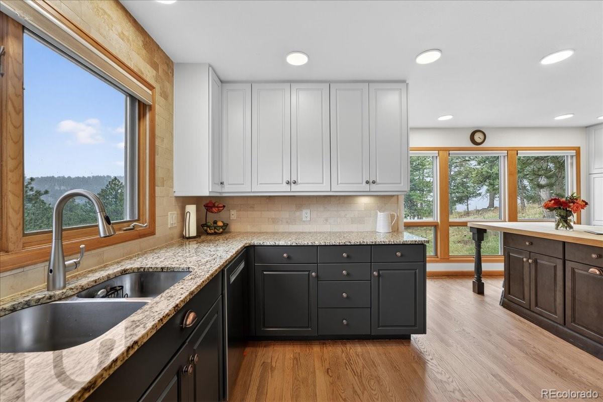 MLS Image #16 for 2368  bitterroot lane,golden, Colorado