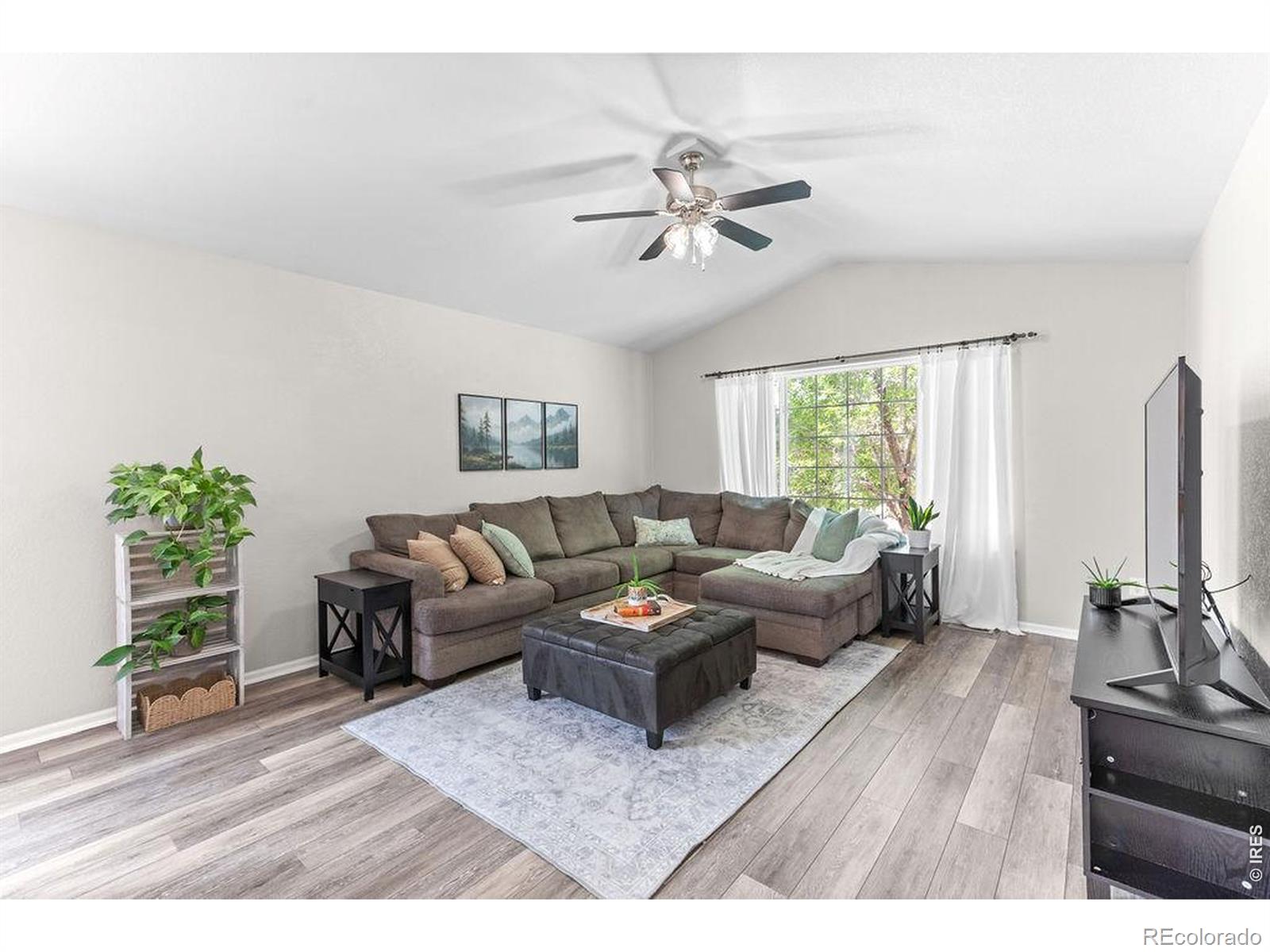 MLS Image #2 for 2515  thoreau drive,fort collins, Colorado