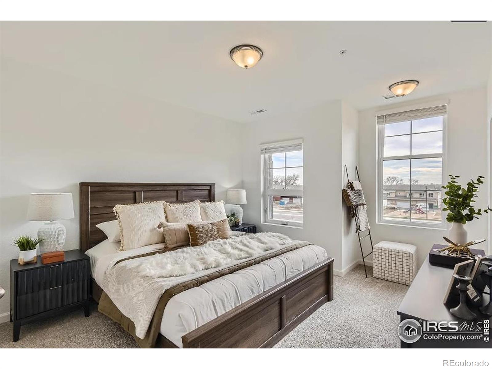 MLS Image #11 for 1002  schlagel street,fort collins, Colorado