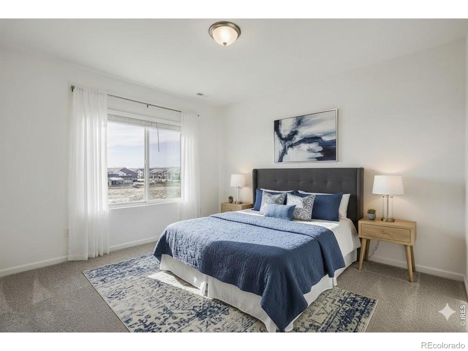 MLS Image #15 for 1002  schlagel street,fort collins, Colorado