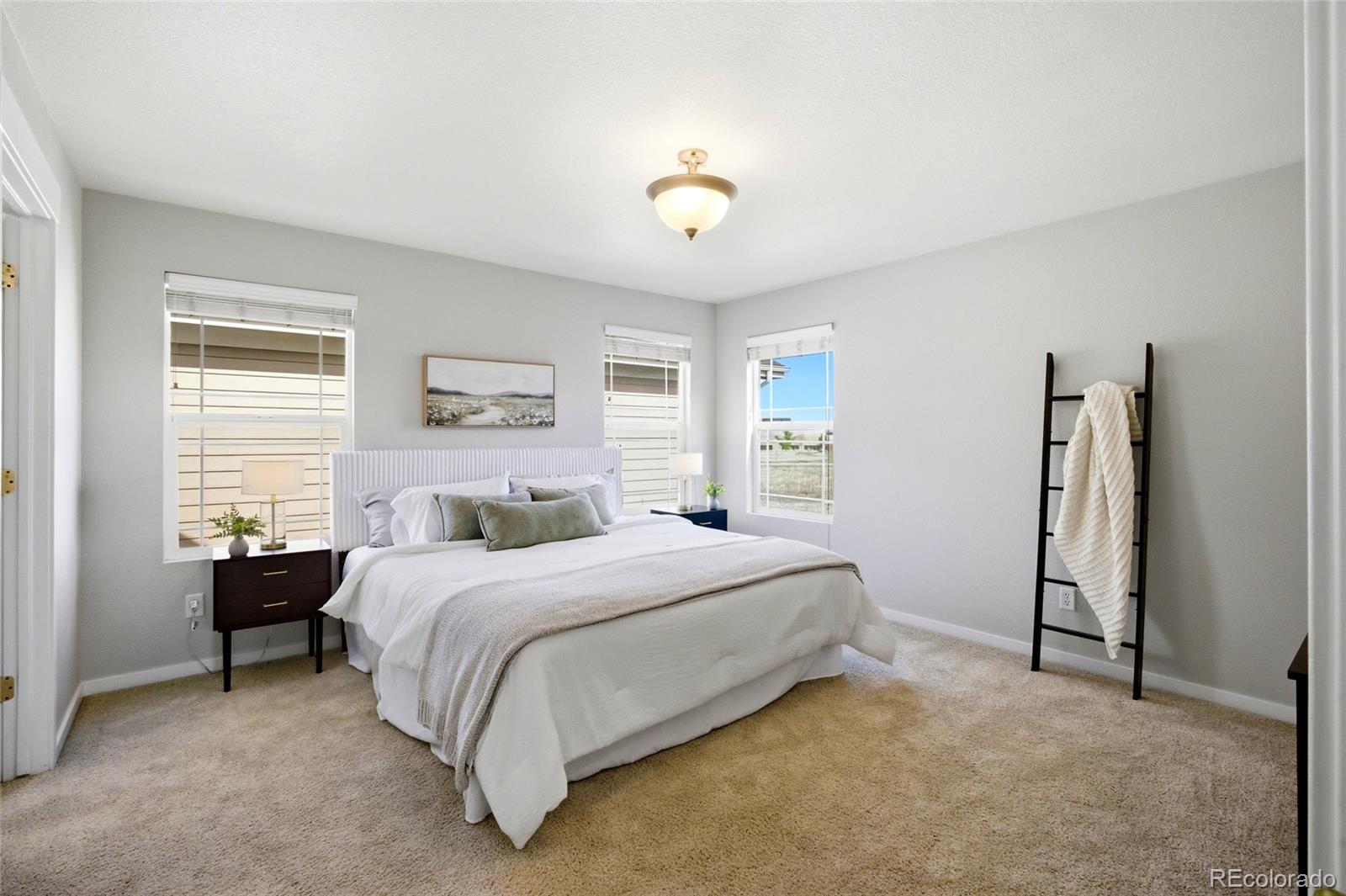 MLS Image #17 for 3878  red deer trail,broomfield, Colorado