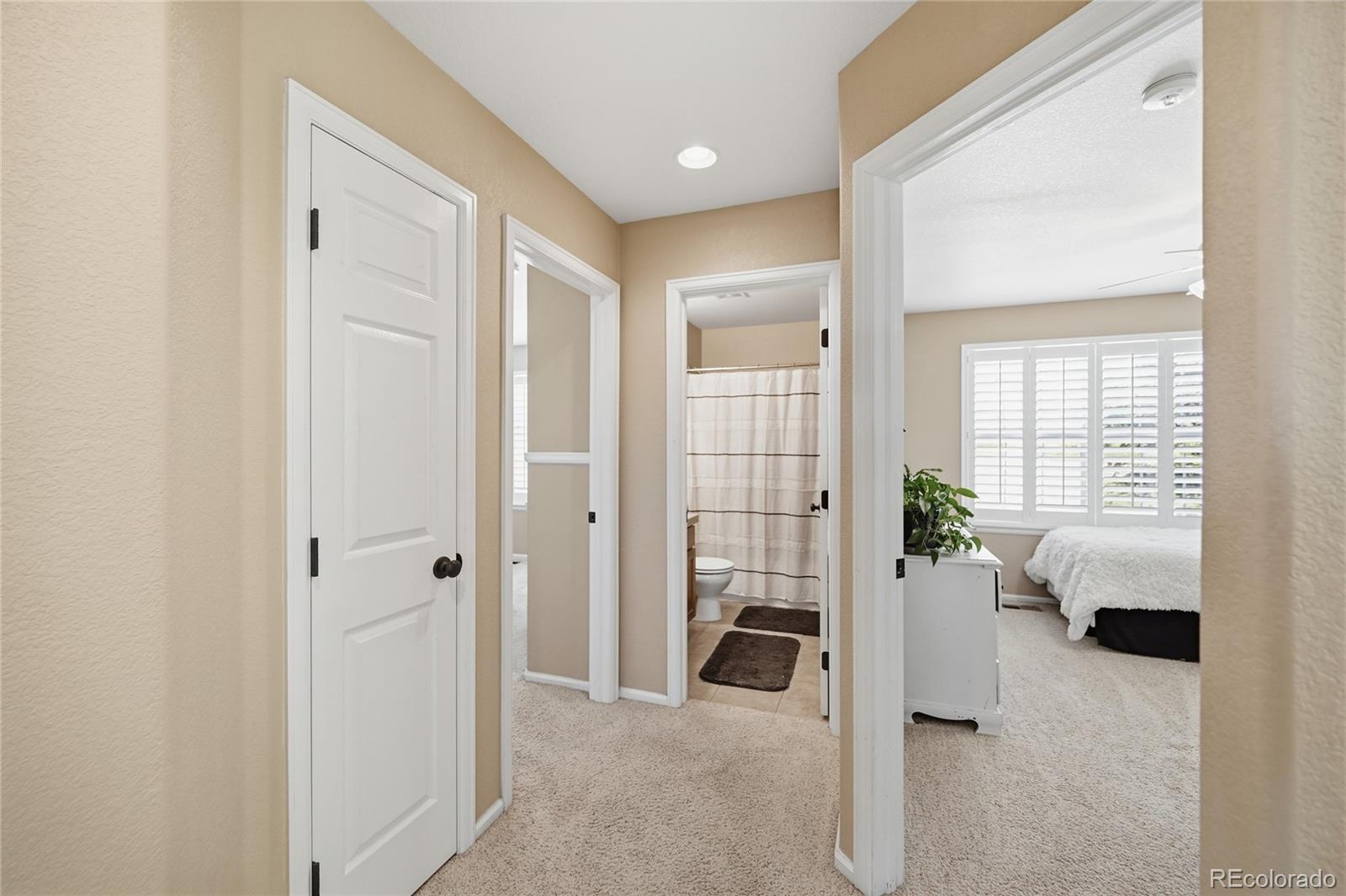 MLS Image #19 for 4118  scarlet oak court,castle rock, Colorado