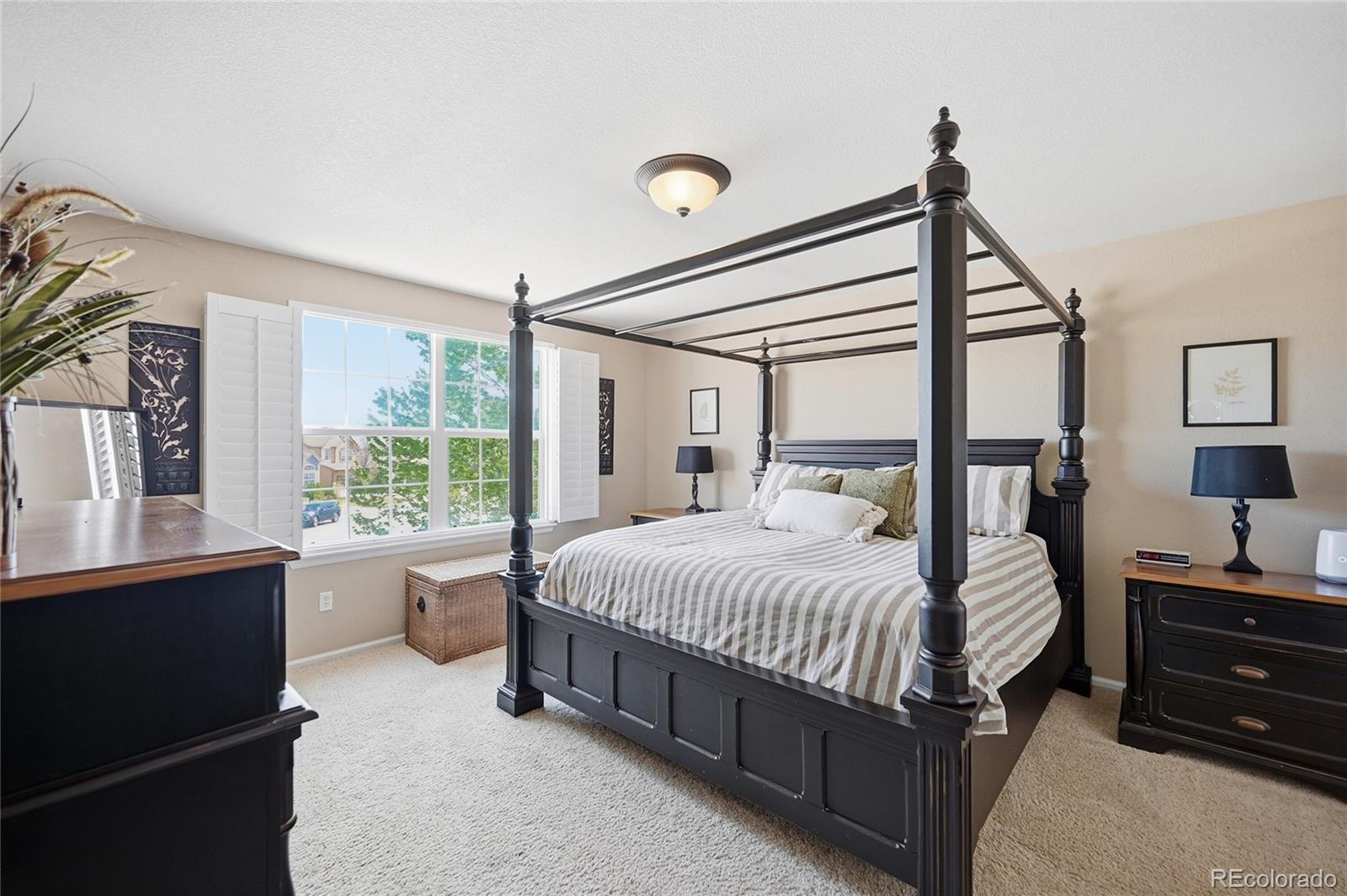 MLS Image #23 for 4118  scarlet oak court,castle rock, Colorado