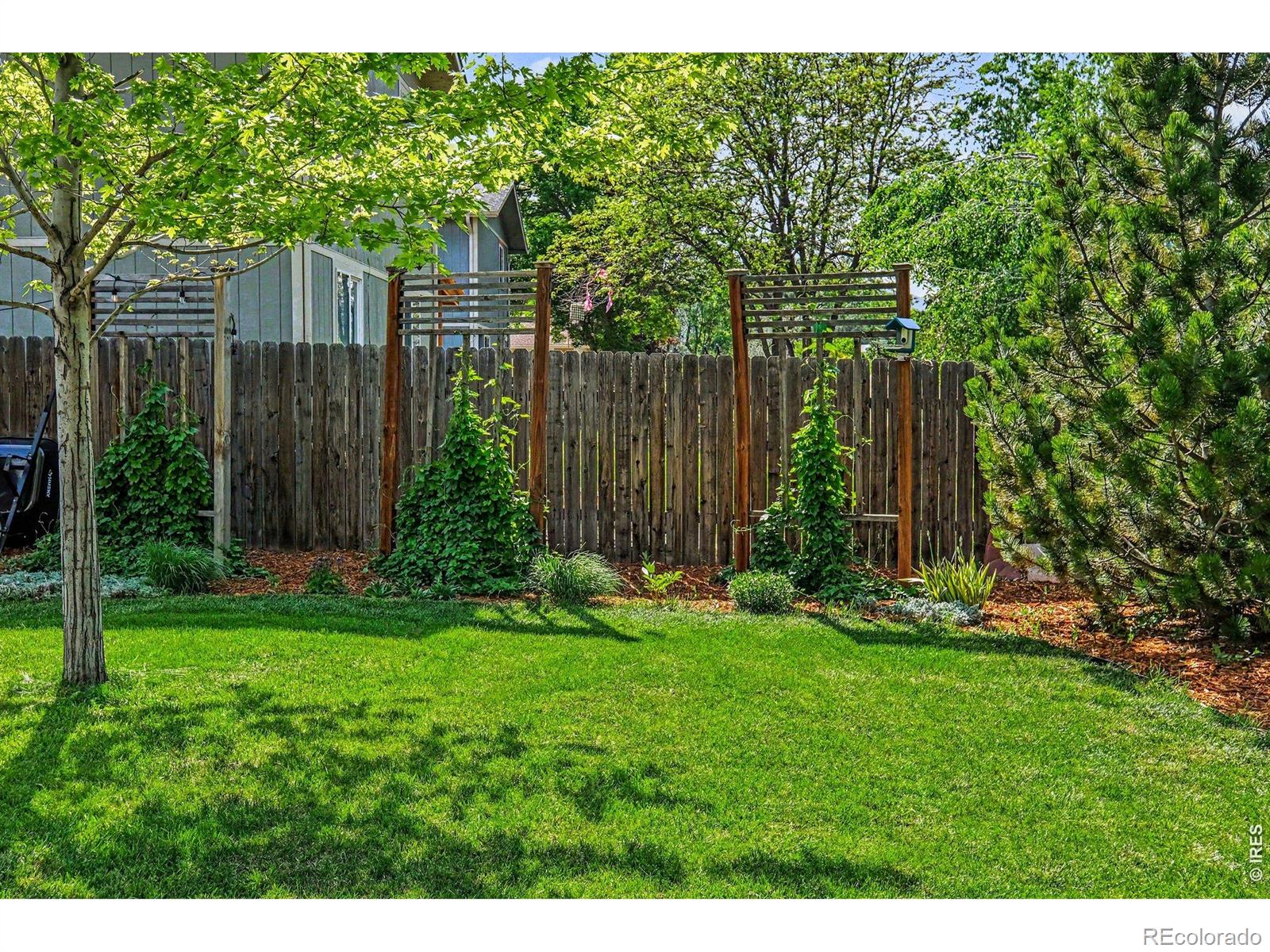MLS Image #34 for 1912  devonshire drive,fort collins, Colorado