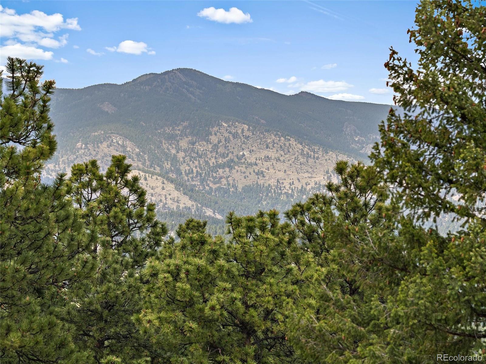 MLS Image #6 for 5815  herzman drive,evergreen, Colorado