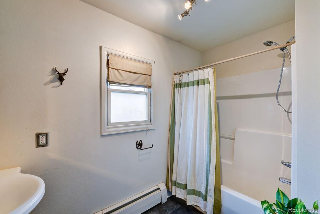 MLS Image #22 for 607 s railroad street,buena vista, Colorado