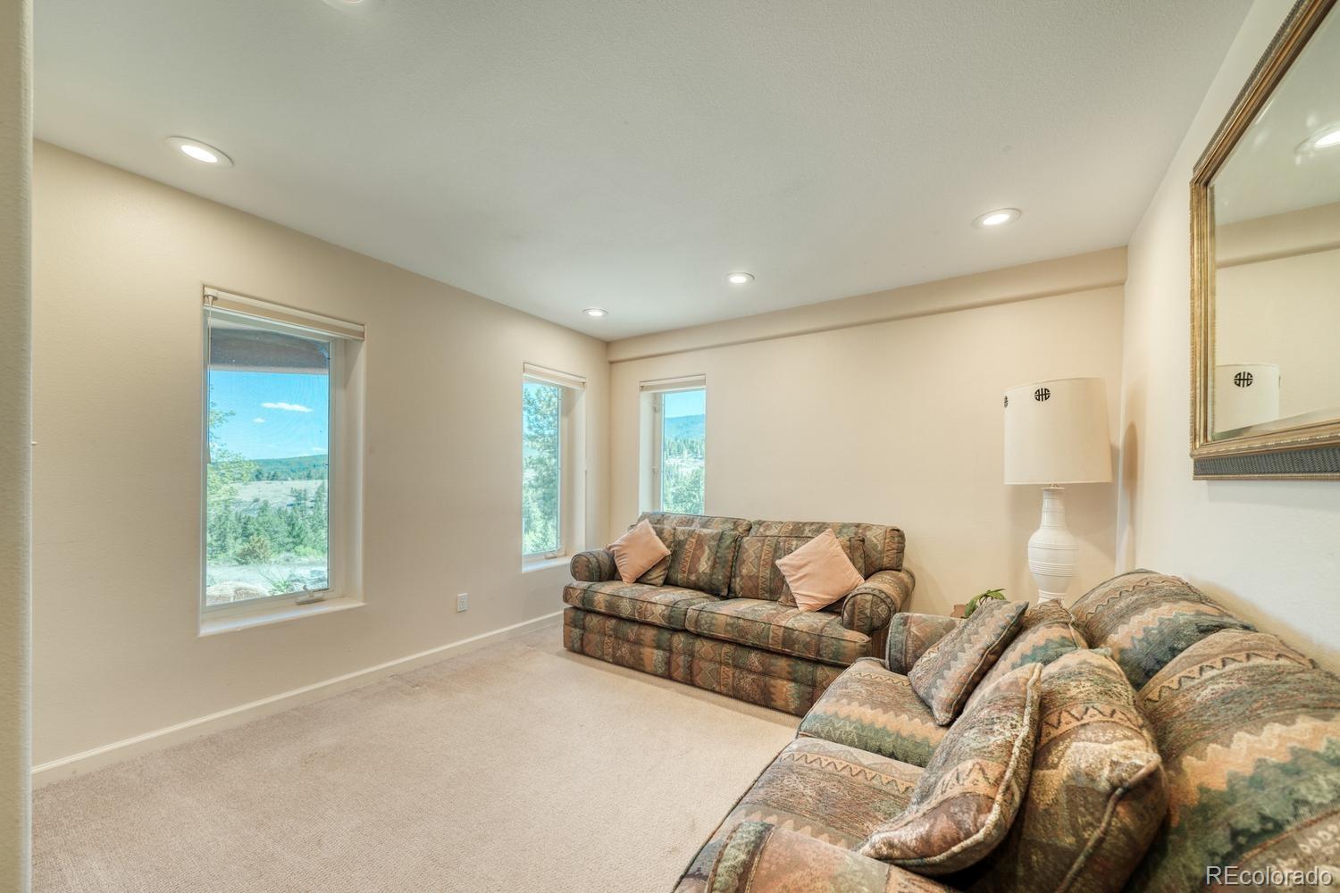 MLS Image #14 for 37643  lake view drive,buena vista, Colorado