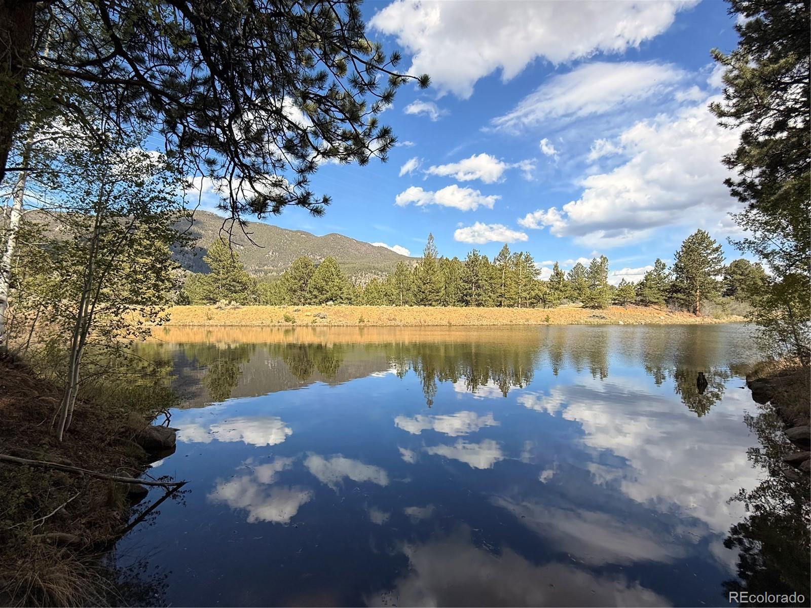 MLS Image #48 for 37643  lake view drive,buena vista, Colorado