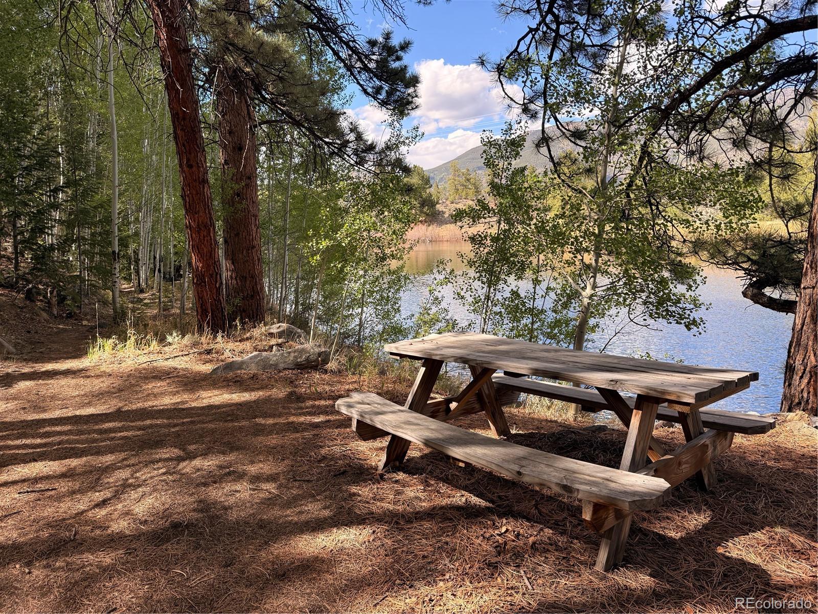 MLS Image #49 for 37643  lake view drive,buena vista, Colorado