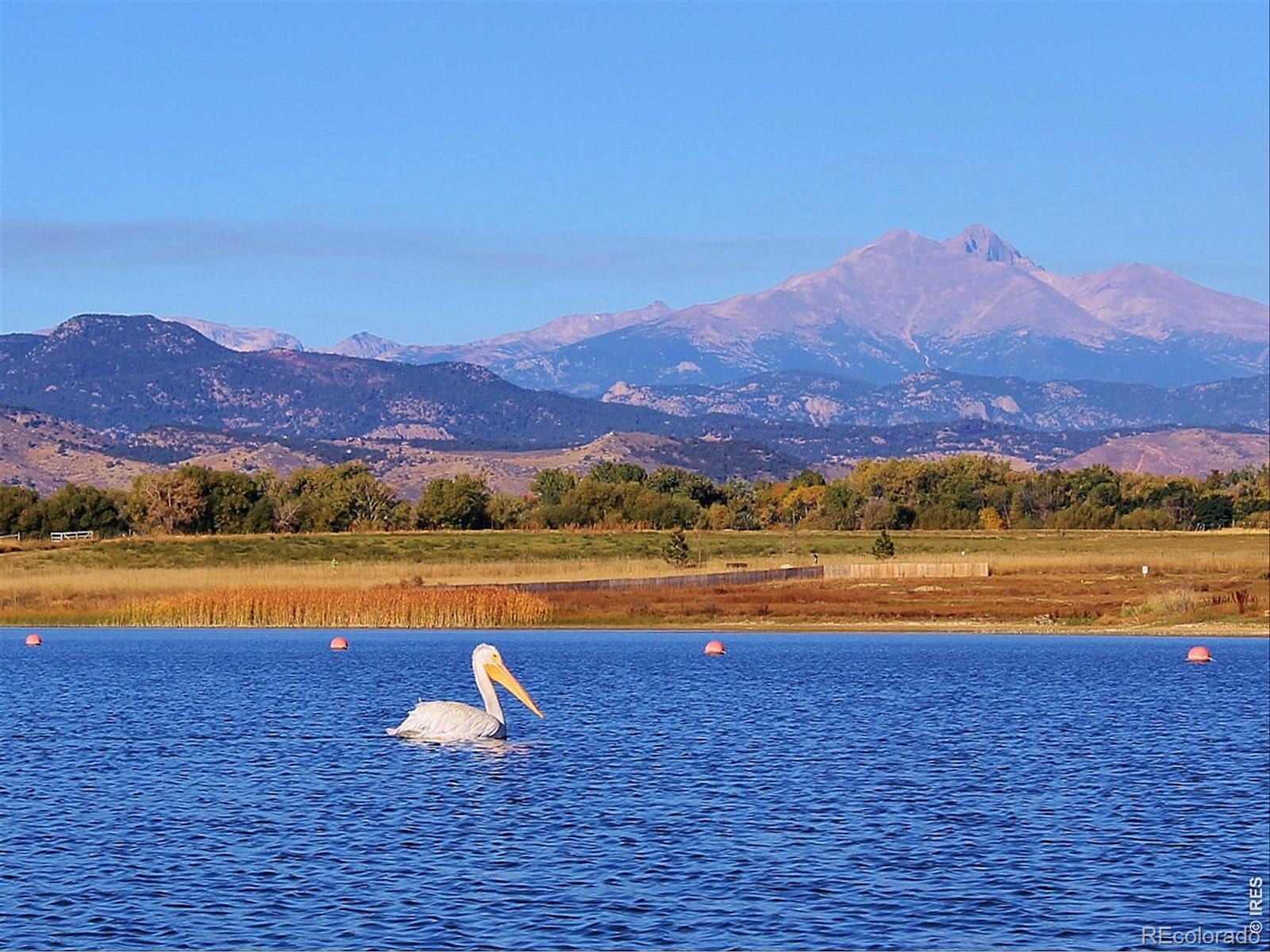 MLS Image #46 for 2288  spinnaker circle,longmont, Colorado