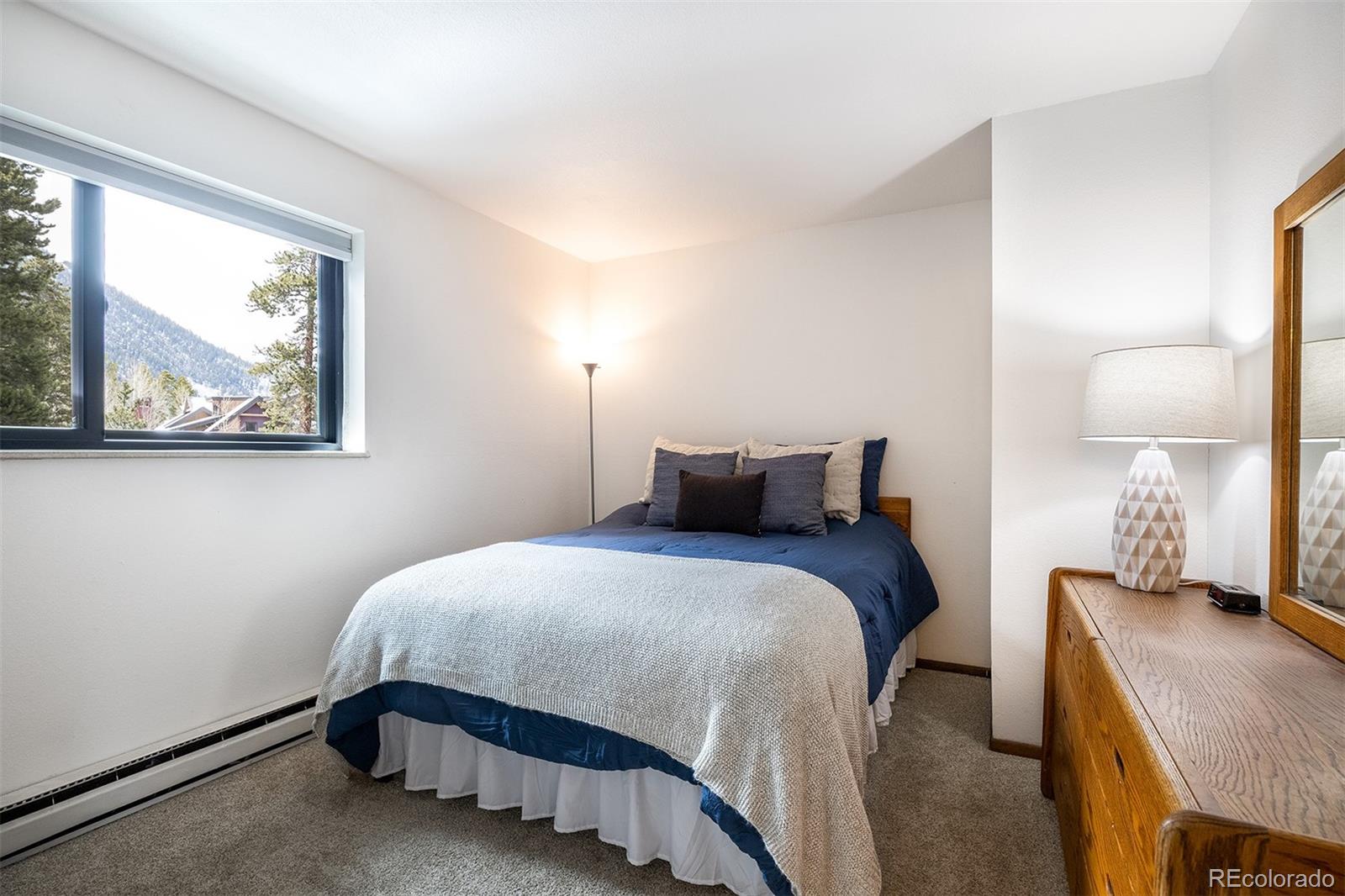 MLS Image #11 for 315 s 2nd avenue,frisco, Colorado