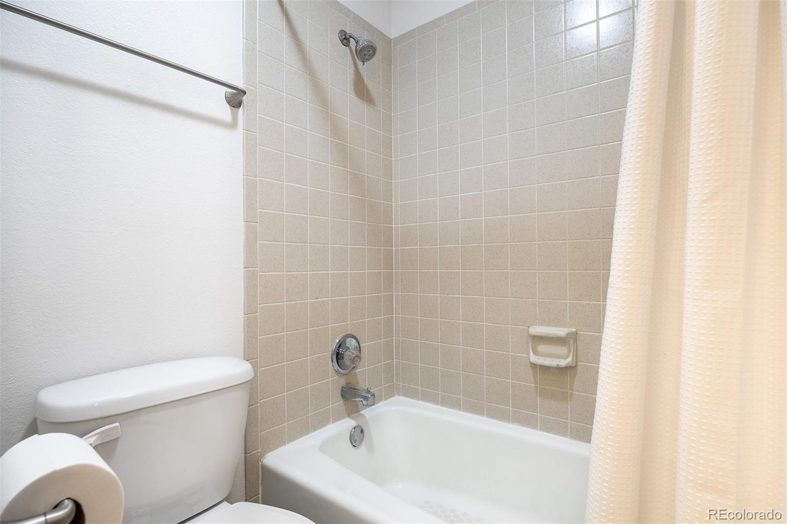 MLS Image #13 for 315 s 2nd avenue,frisco, Colorado