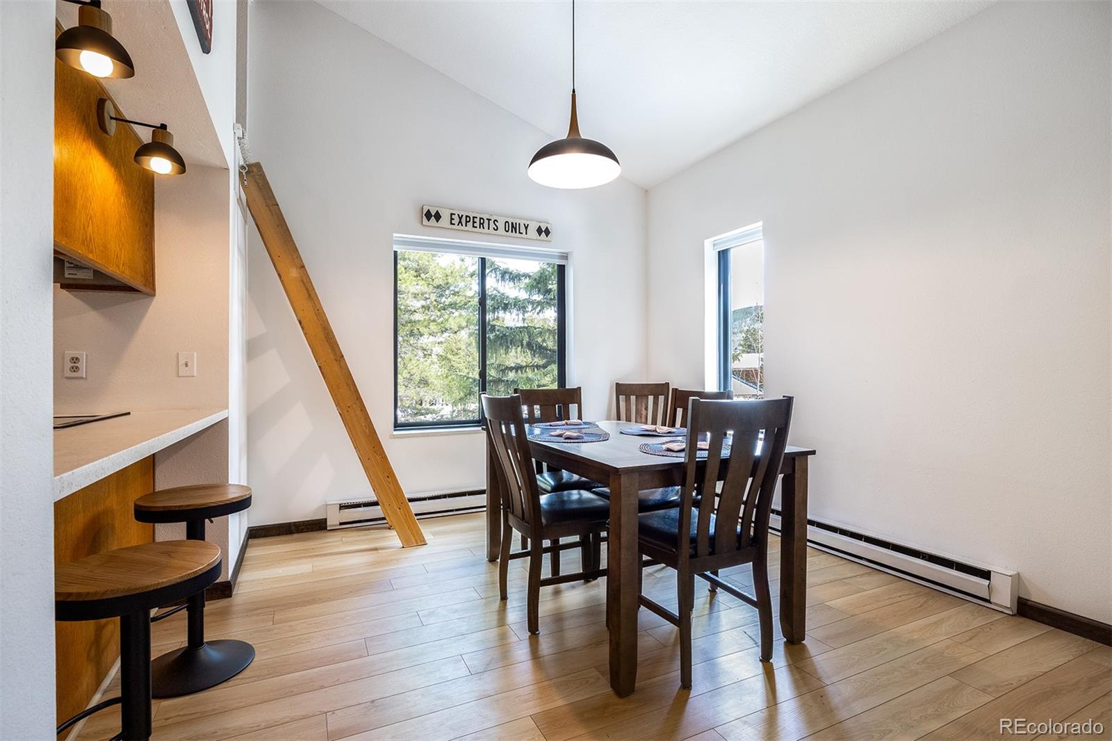 MLS Image #4 for 315 s 2nd avenue,frisco, Colorado