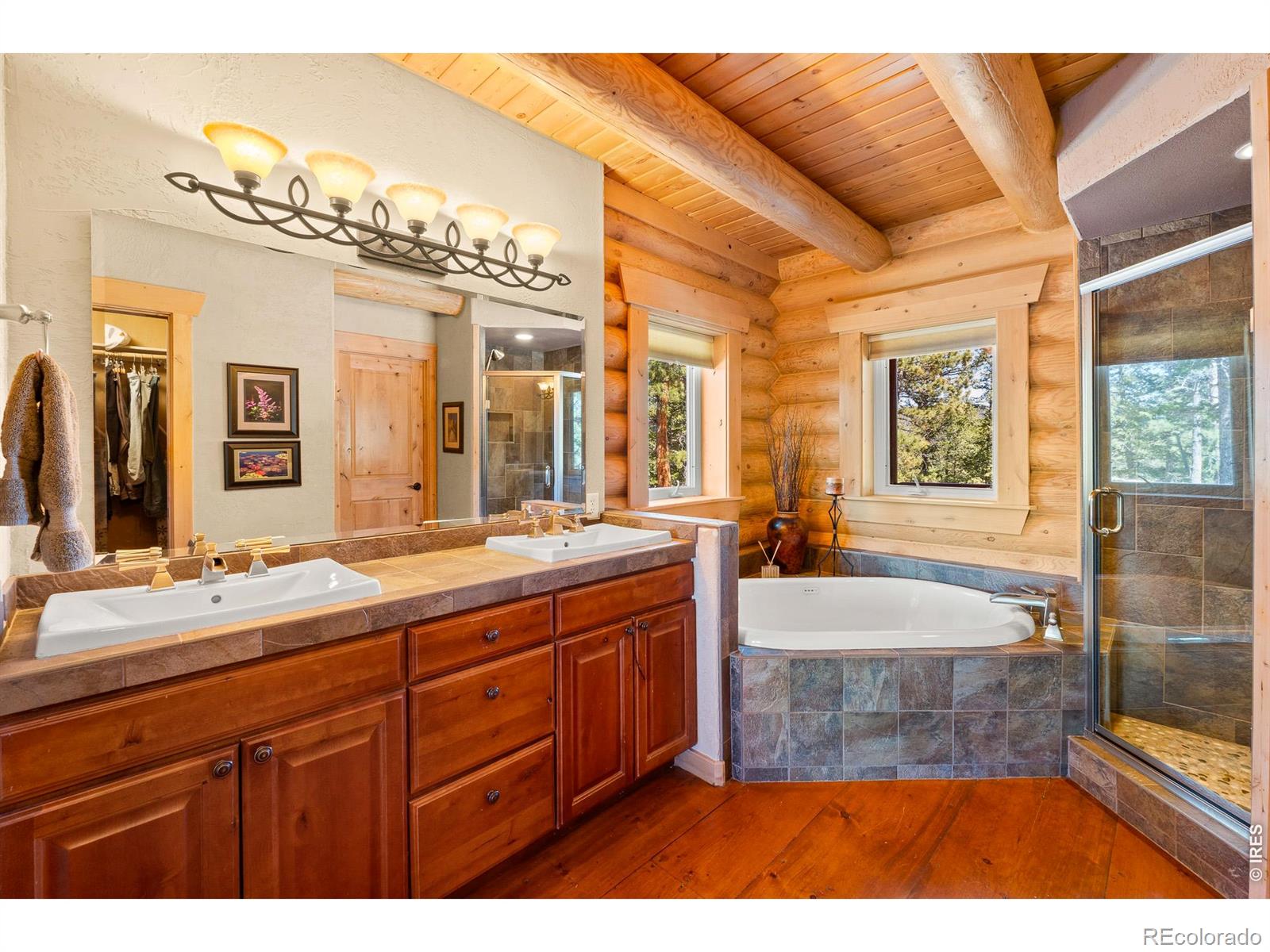 MLS Image #20 for 6436 n county road 73c ,red feather lakes, Colorado