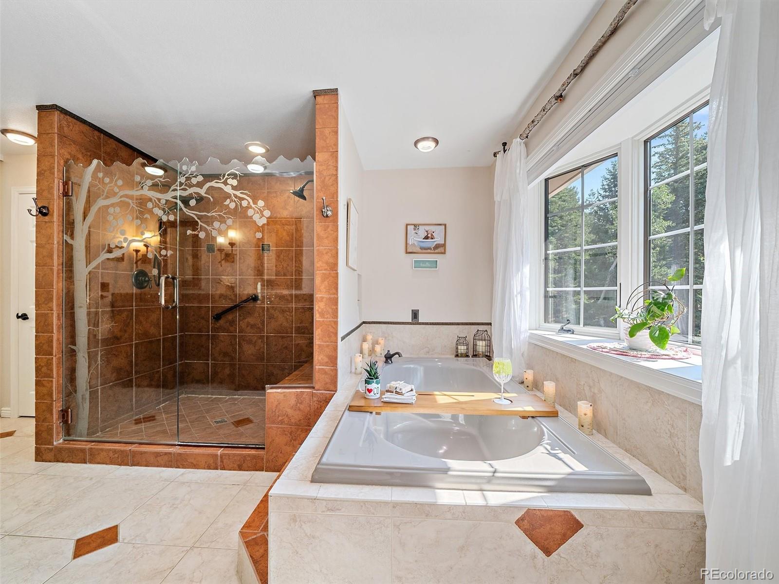 MLS Image #27 for 8280  grizzly way,evergreen, Colorado
