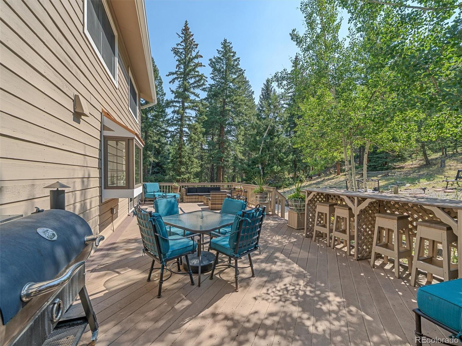 MLS Image #38 for 8280  grizzly way,evergreen, Colorado