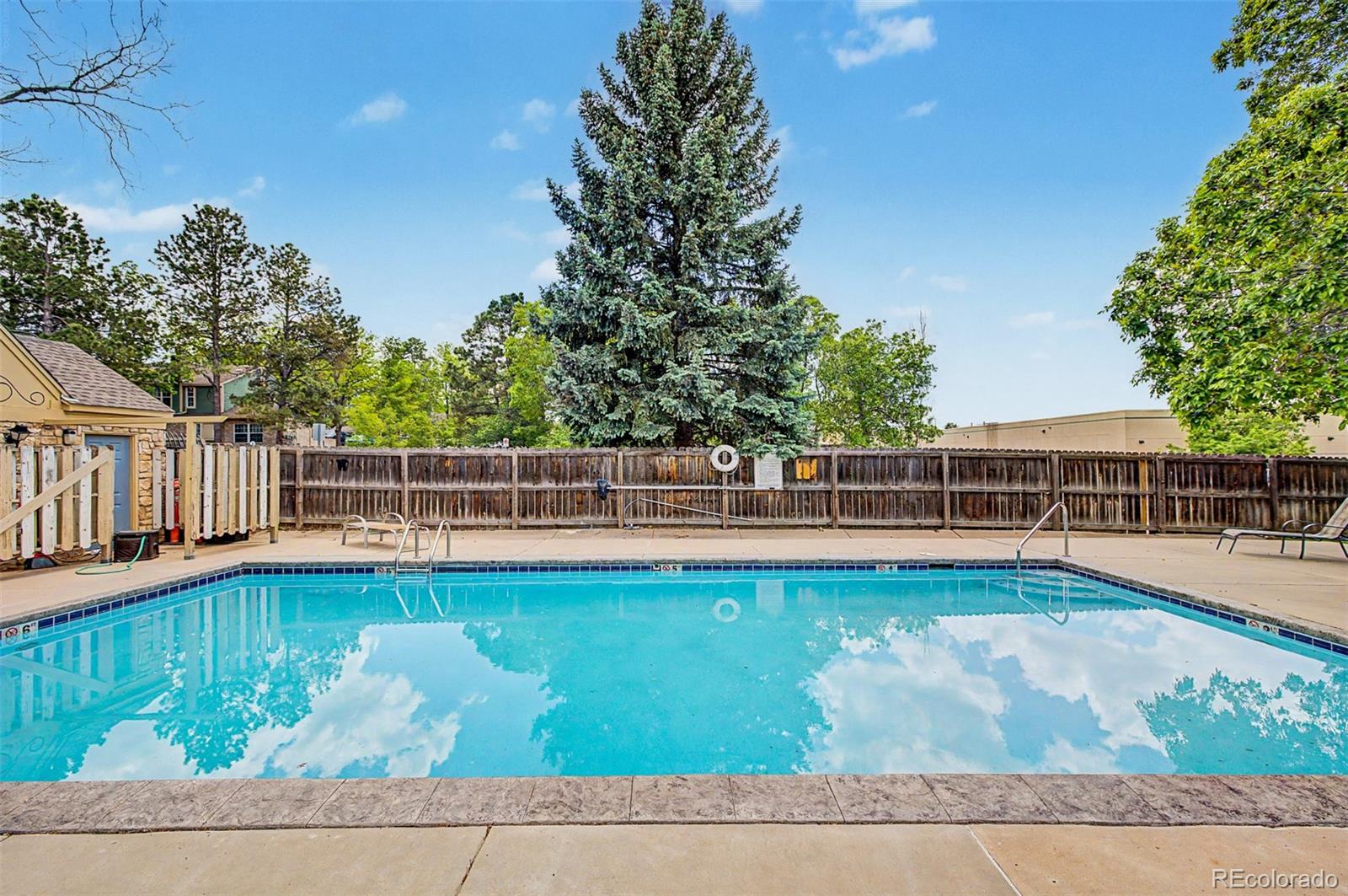 MLS Image #17 for 8198 s columbine court,centennial, Colorado