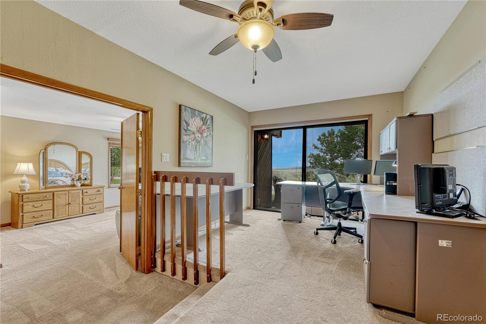 MLS Image #17 for 4507  juniper court,larkspur, Colorado