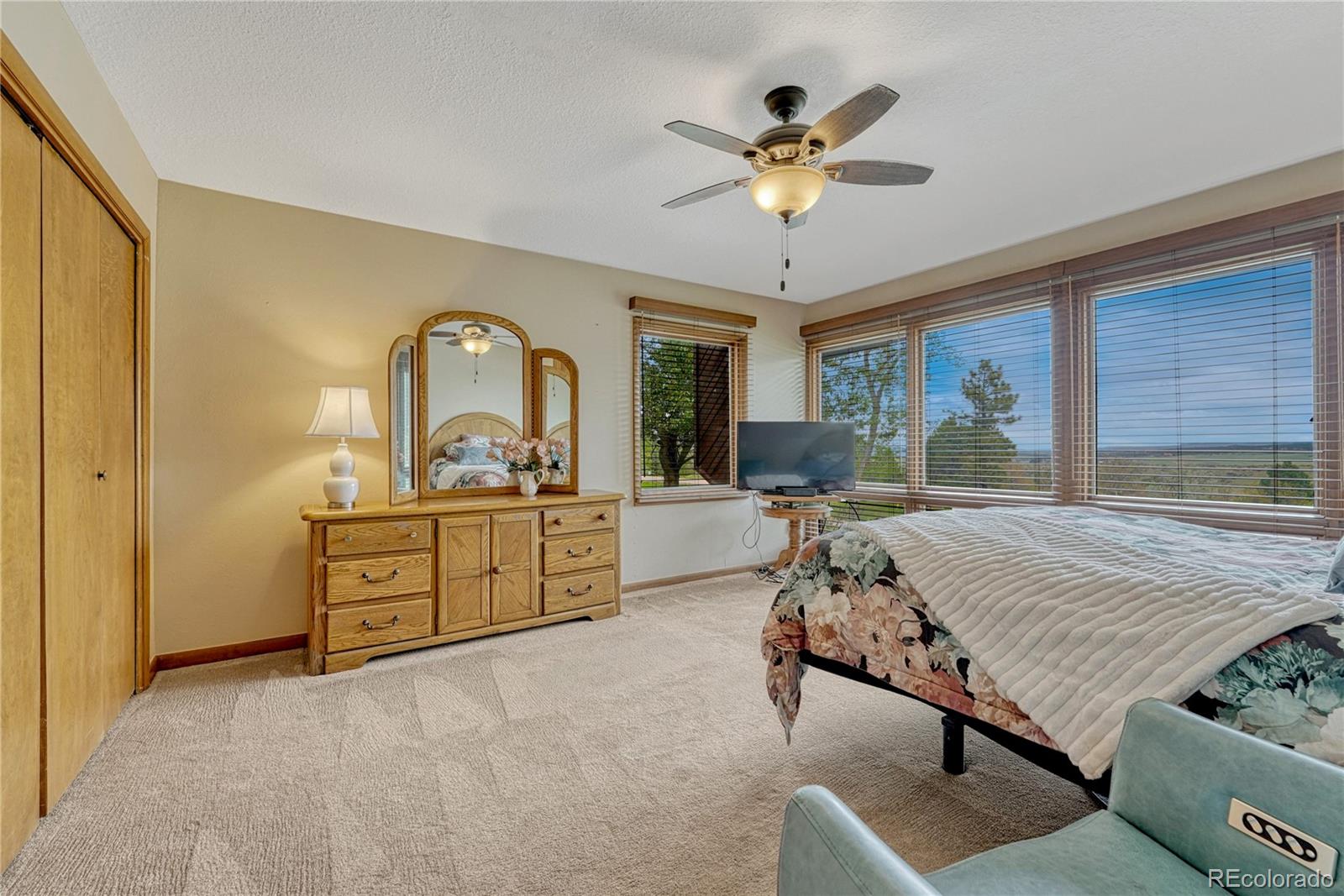 MLS Image #20 for 4507  juniper court,larkspur, Colorado