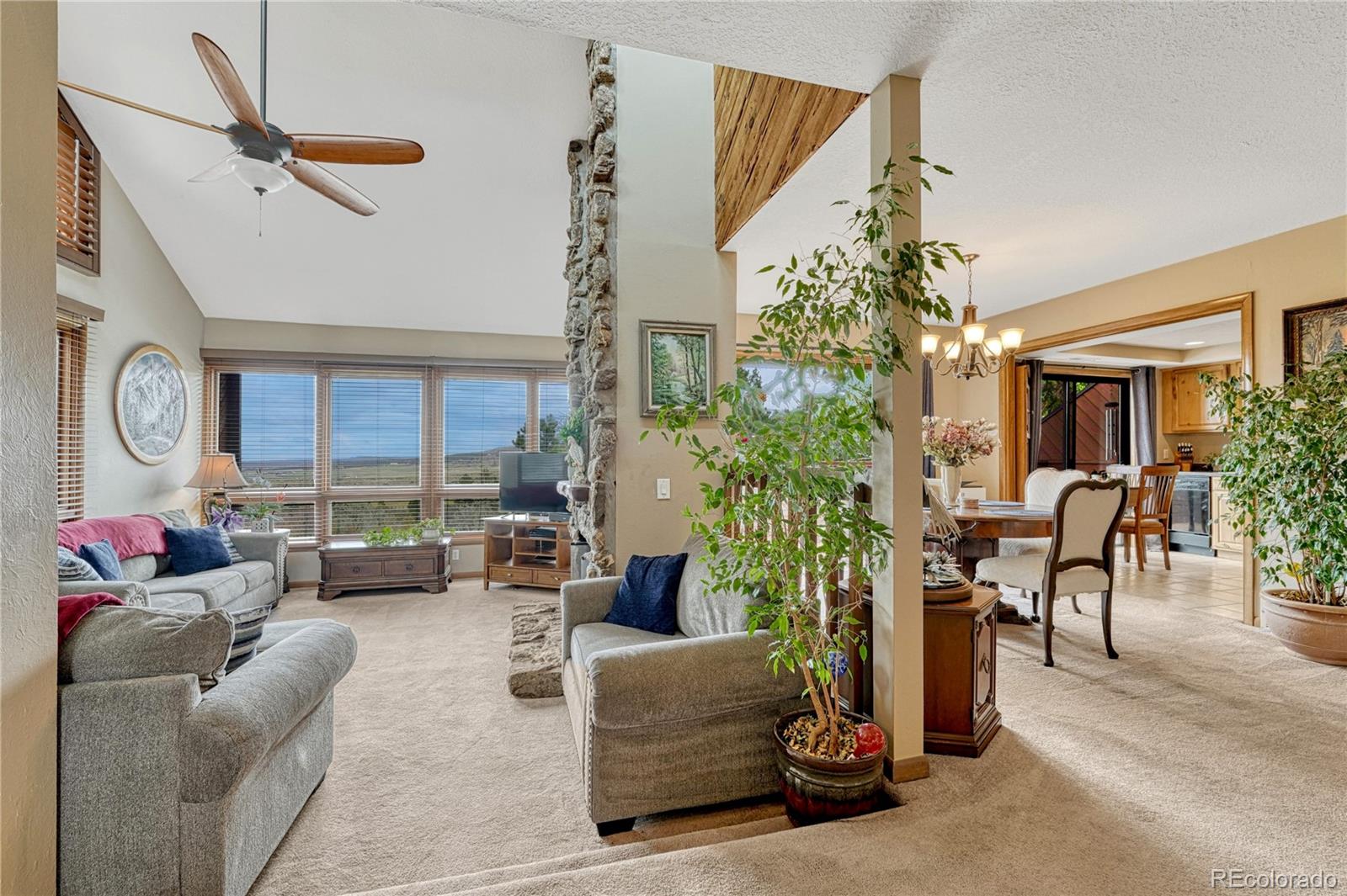 MLS Image #6 for 4507  juniper court,larkspur, Colorado