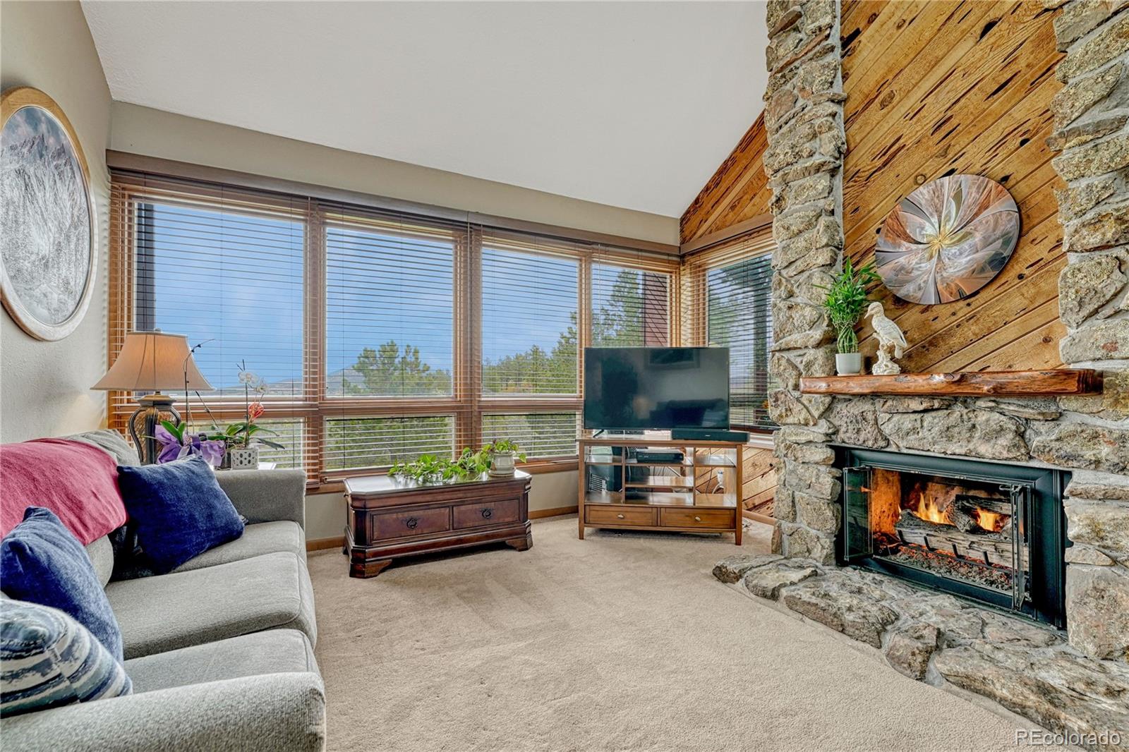 MLS Image #8 for 4507  juniper court,larkspur, Colorado