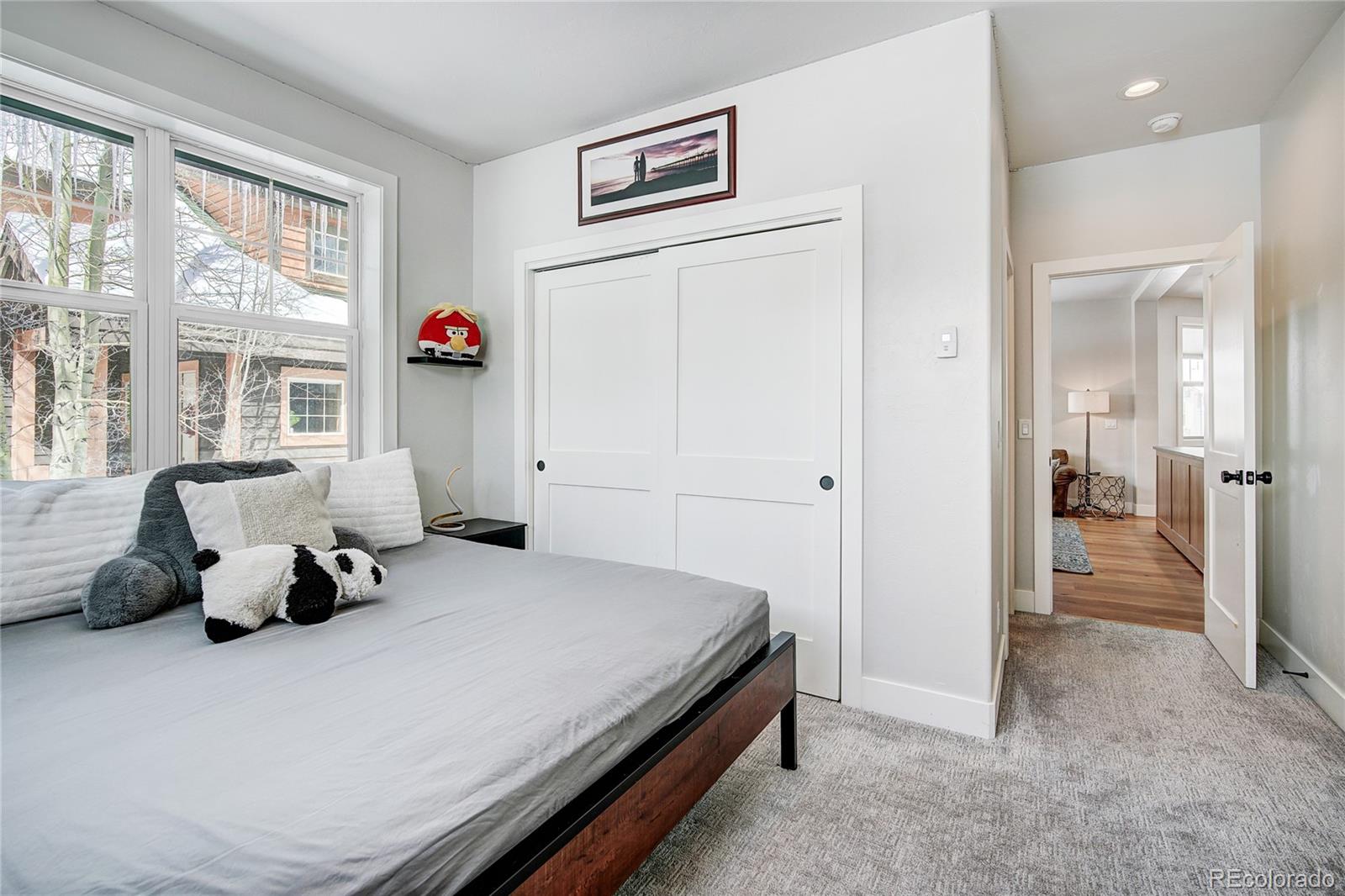 MLS Image #31 for 125  rachel lane,breckenridge, Colorado