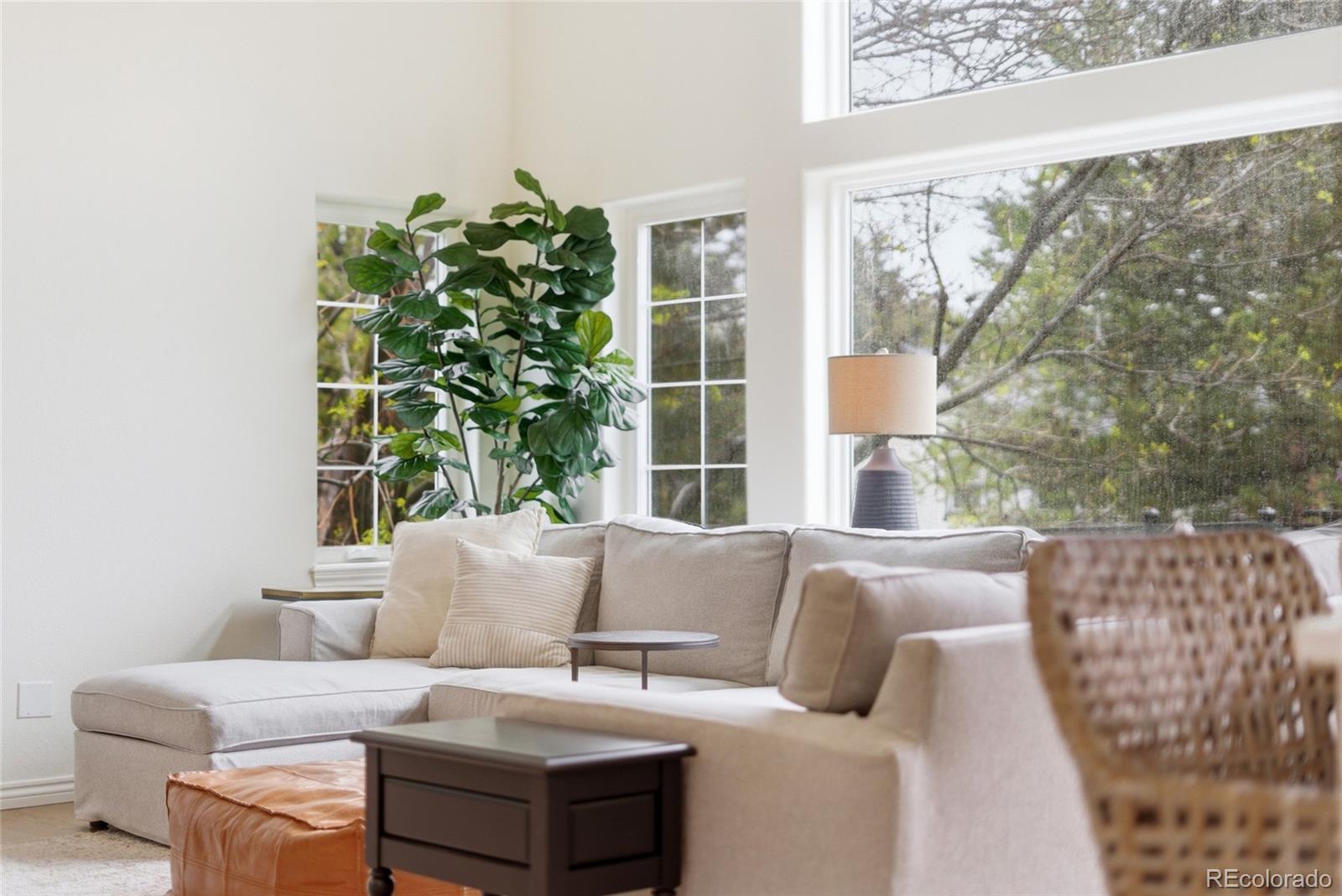 MLS Image #14 for 7185  turweston lane,castle pines, Colorado