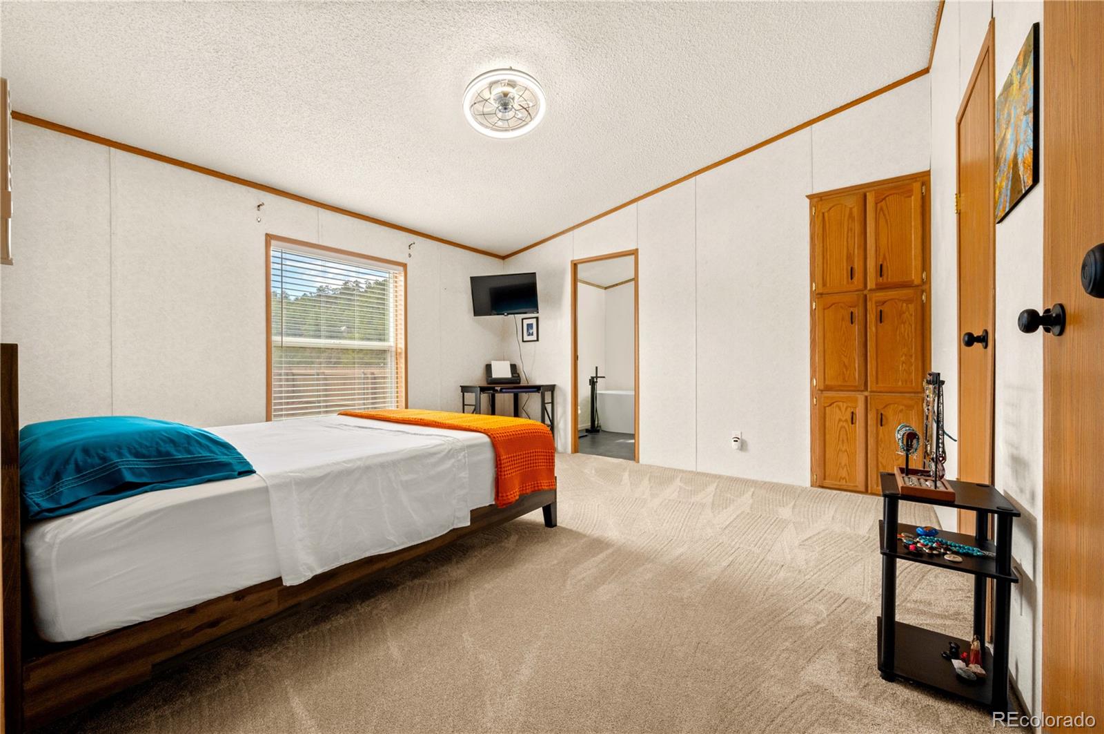 MLS Image #14 for 45  knight lane,cotopaxi, Colorado