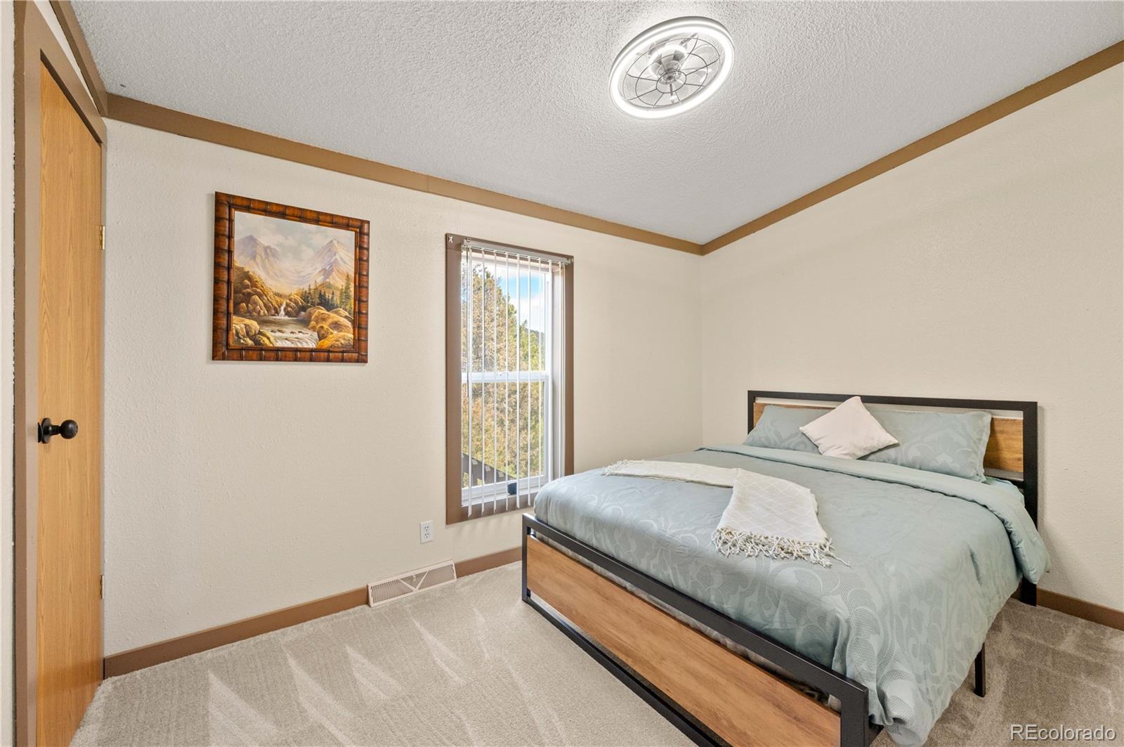 MLS Image #19 for 45  knight lane,cotopaxi, Colorado