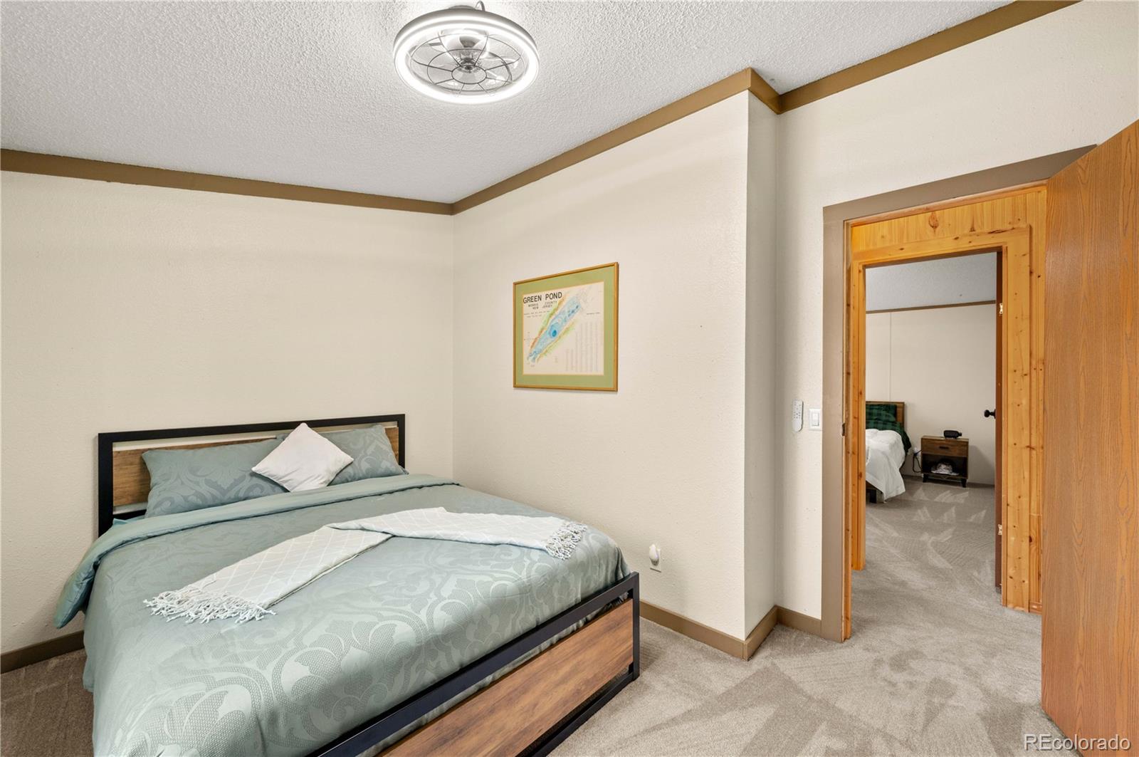 MLS Image #20 for 45  knight lane,cotopaxi, Colorado