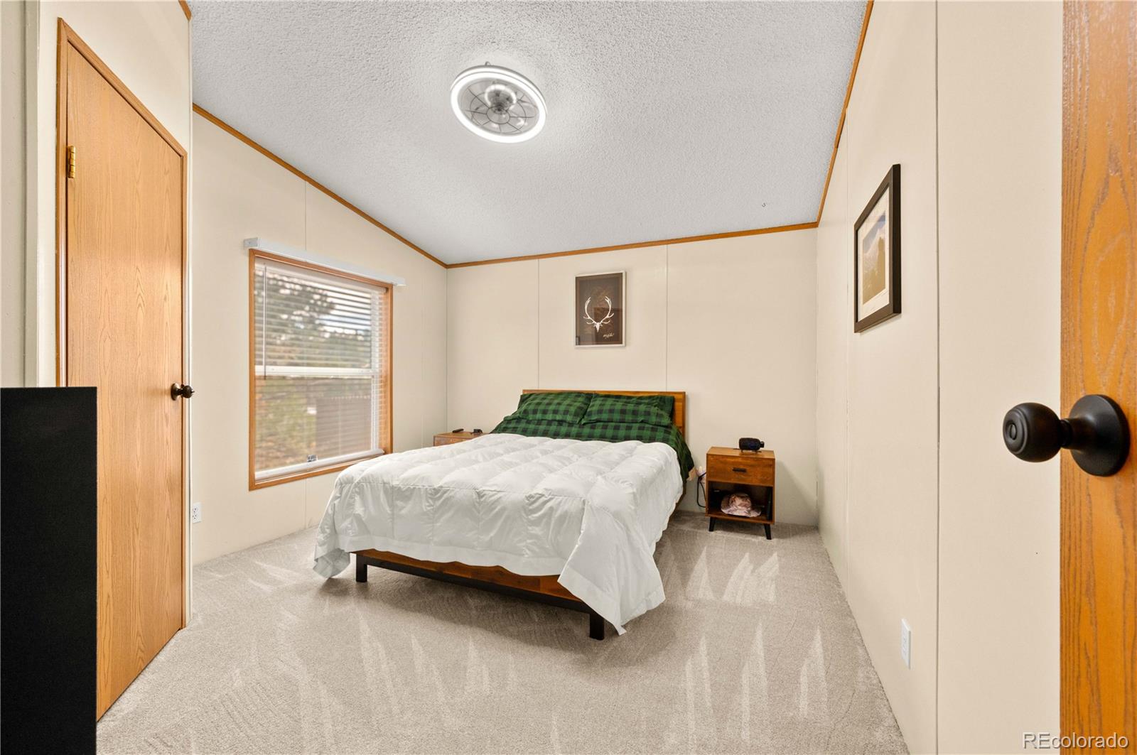MLS Image #22 for 45  knight lane,cotopaxi, Colorado