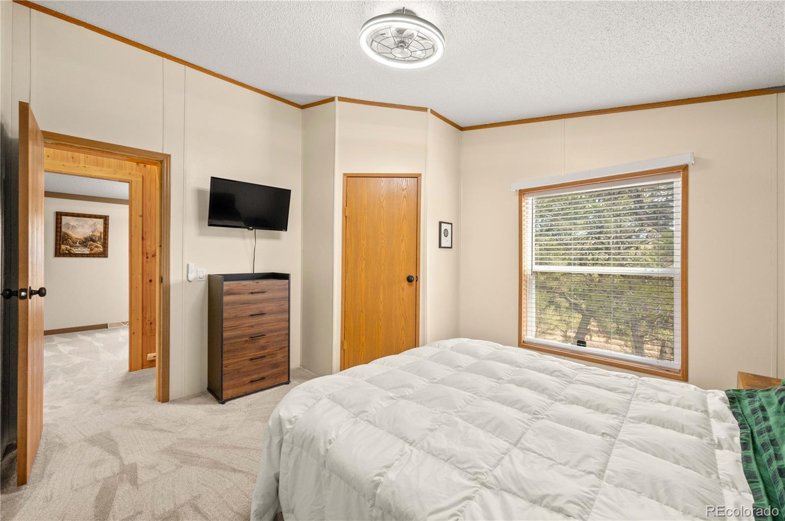 MLS Image #23 for 45  knight lane,cotopaxi, Colorado