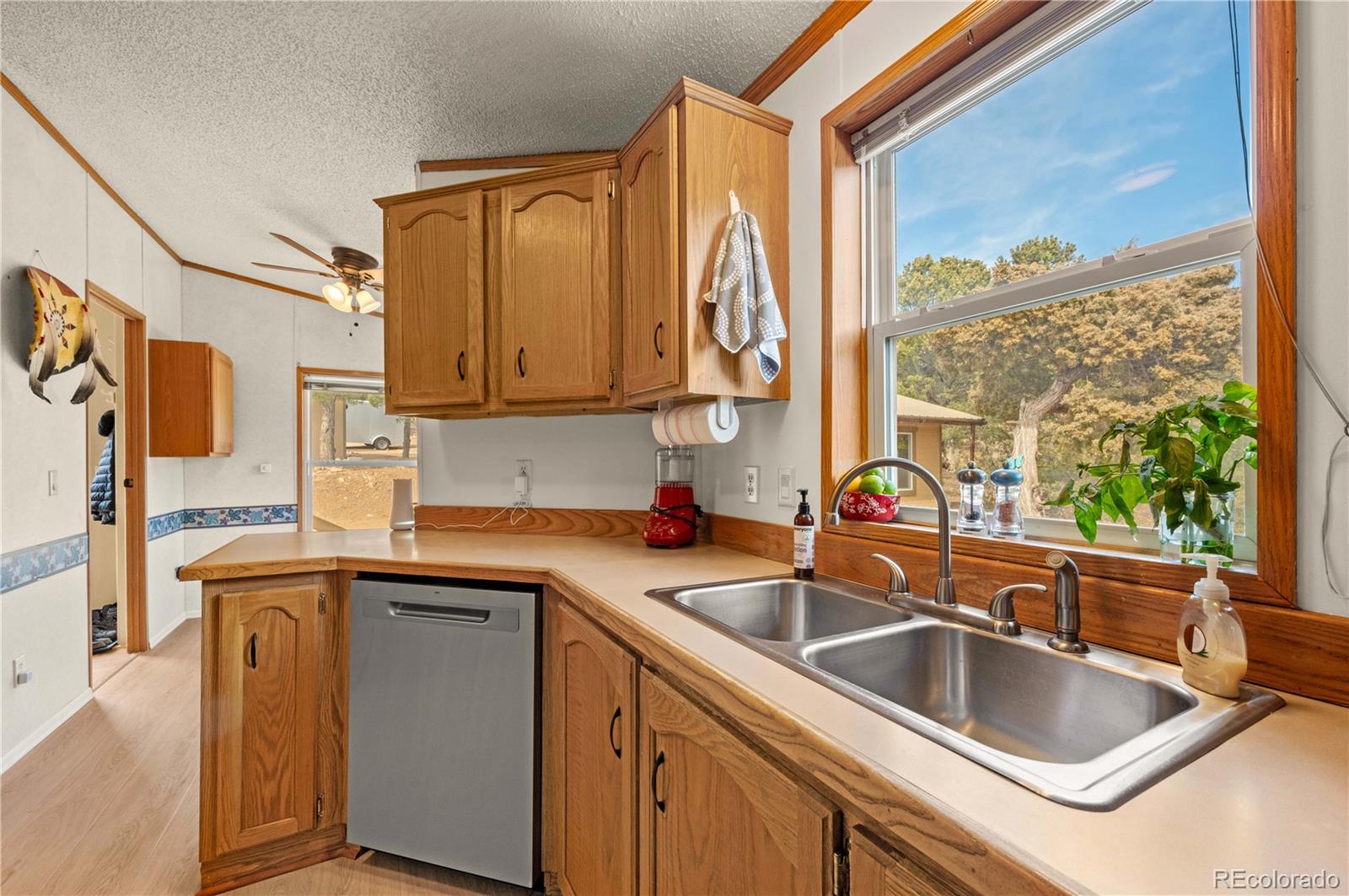 MLS Image #7 for 45  knight lane,cotopaxi, Colorado