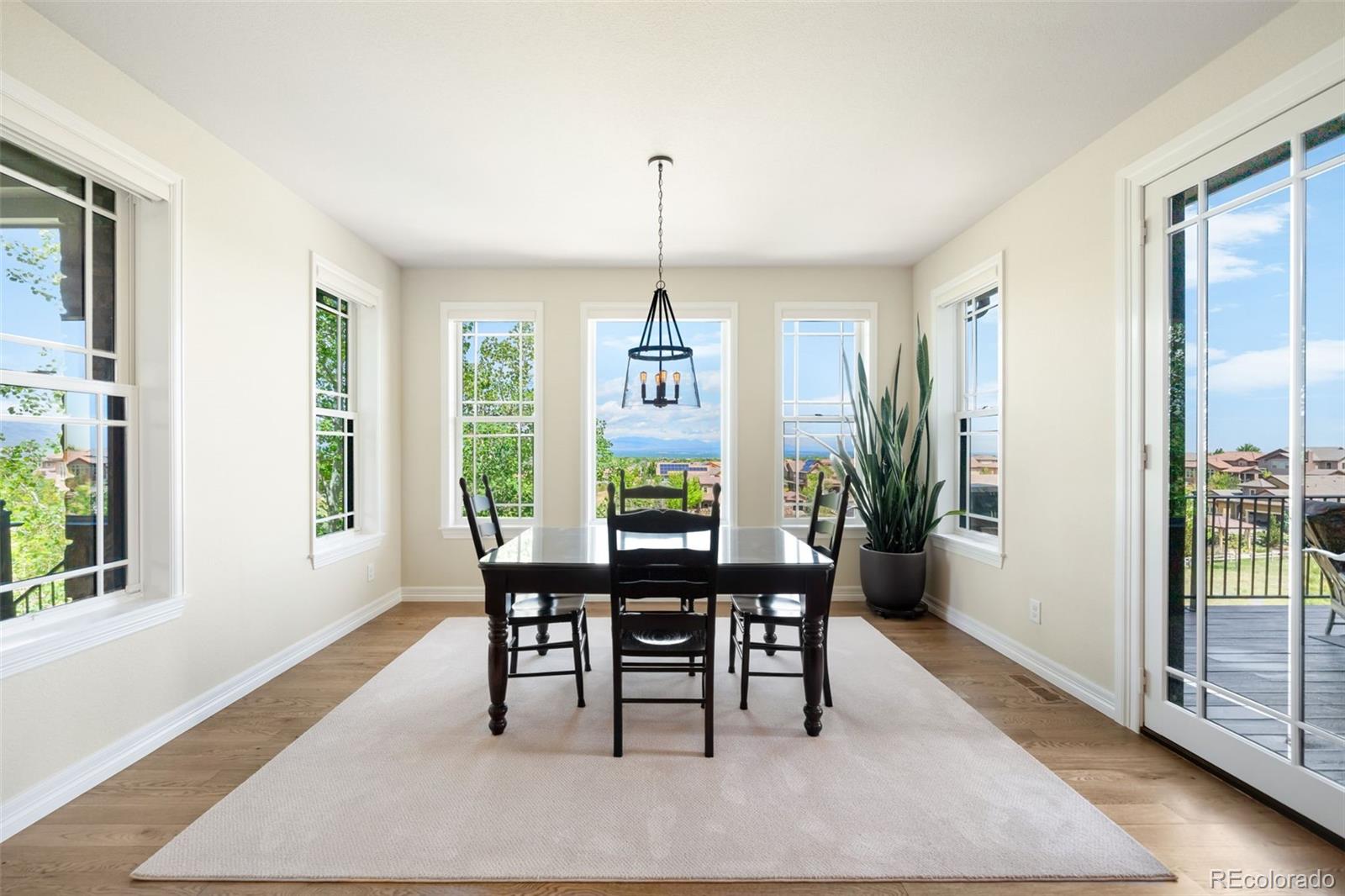 MLS Image #13 for 10777  sundial rim road,highlands ranch, Colorado